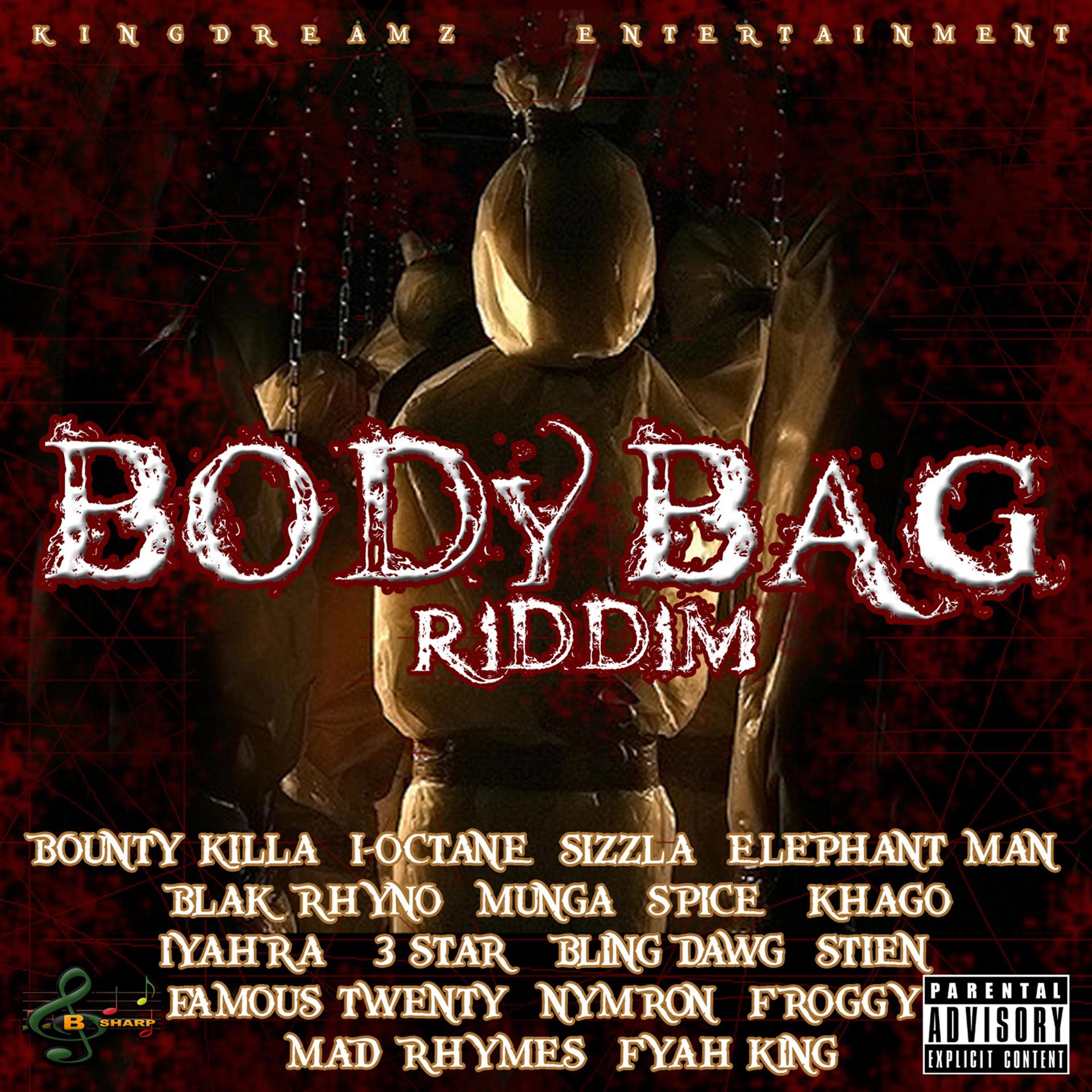 Постер альбома Body Bag Riddim