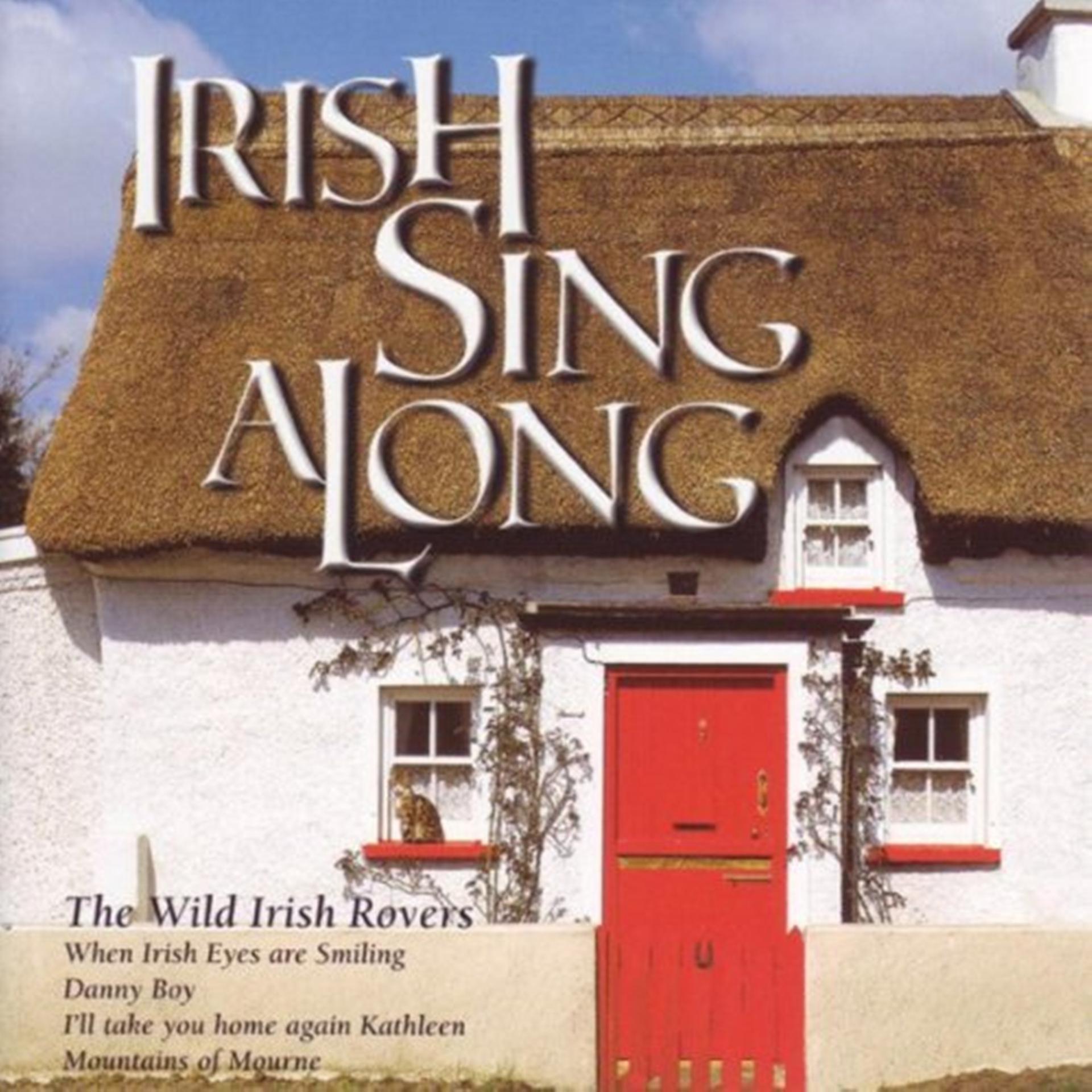 Постер альбома Irish Sing Along