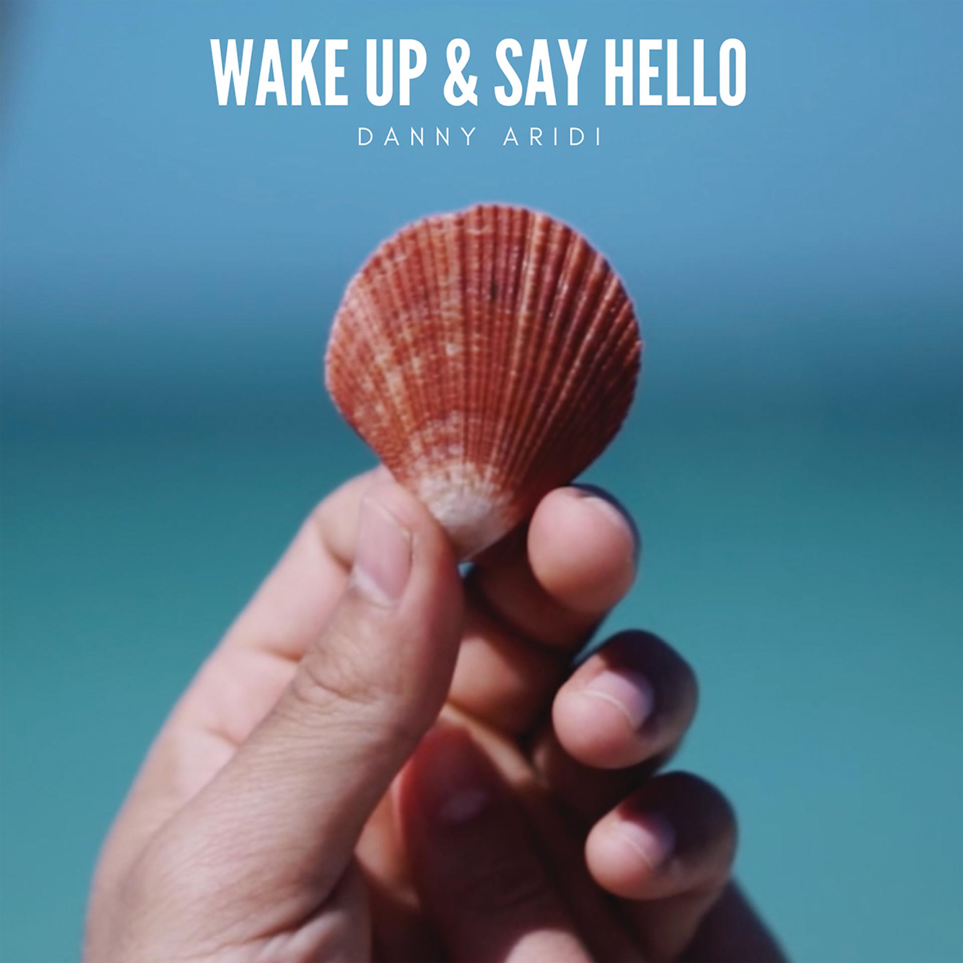 Постер альбома Wake Up & Say Hello