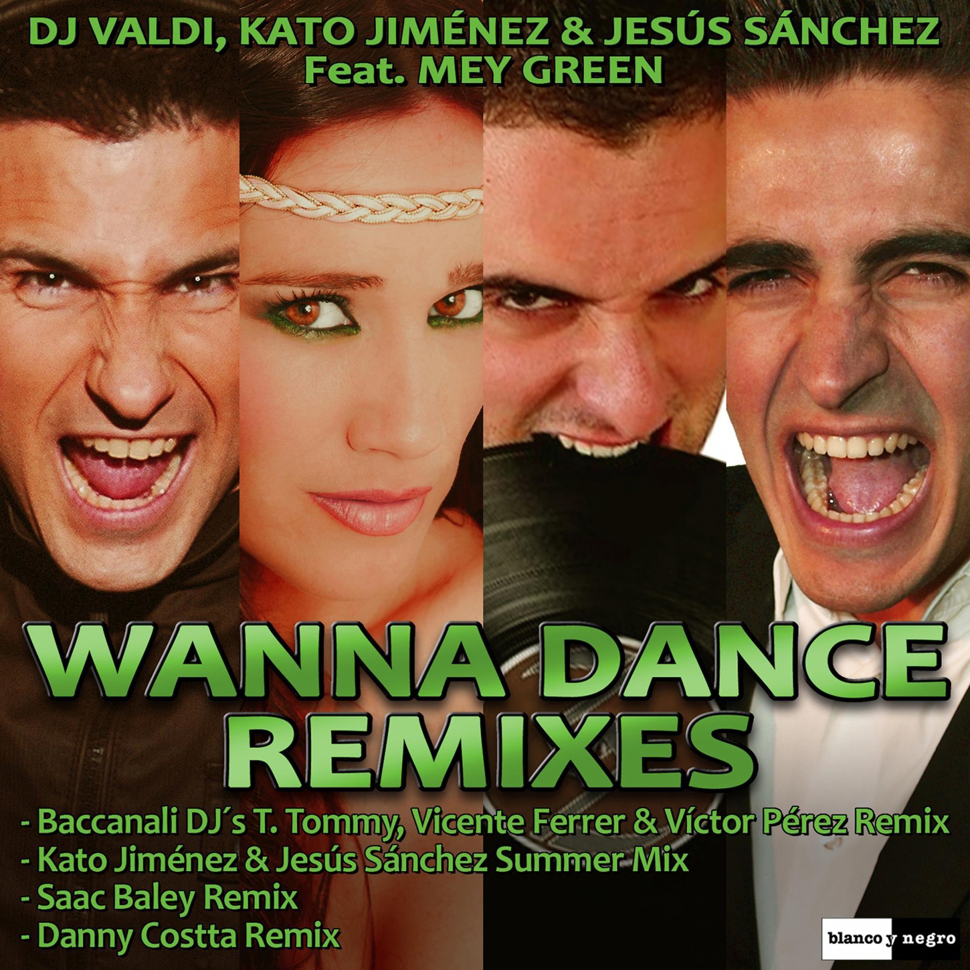 Постер альбома Wanna Dance (Remixes)