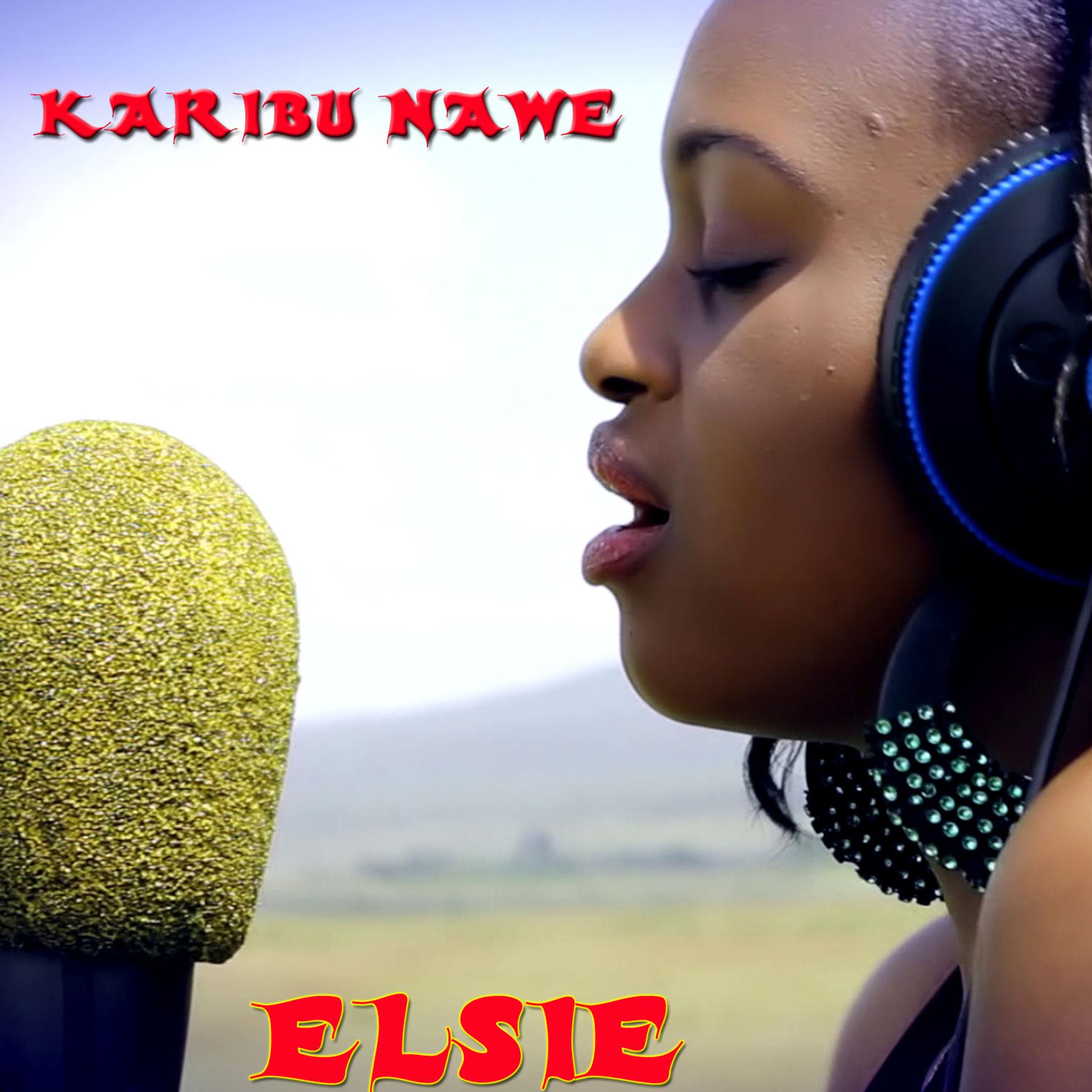 Постер альбома Karibu Nawe