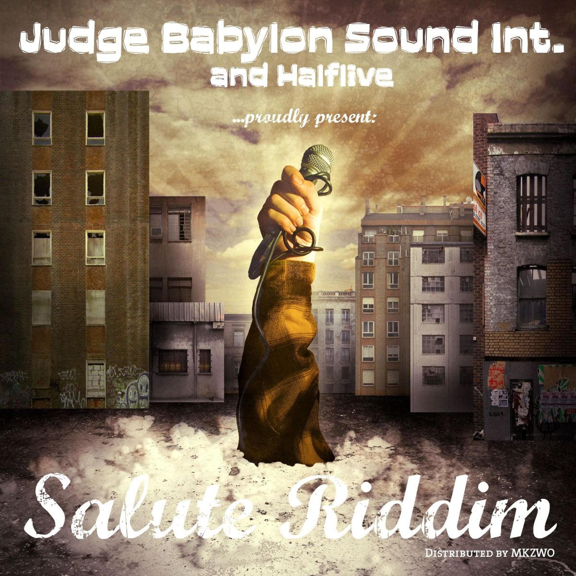 Постер альбома Salute Riddim