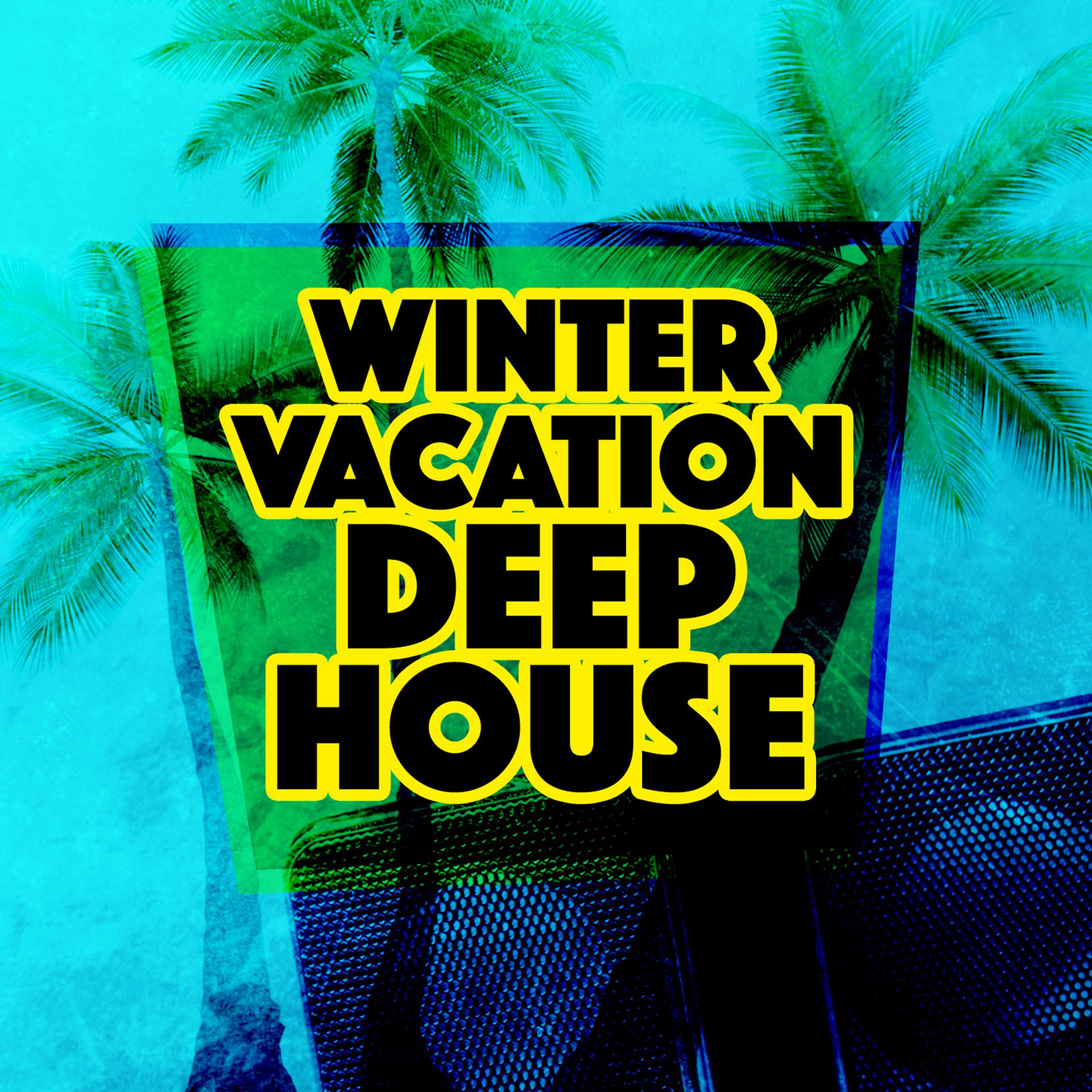 Постер альбома Winter Vacation Deep House