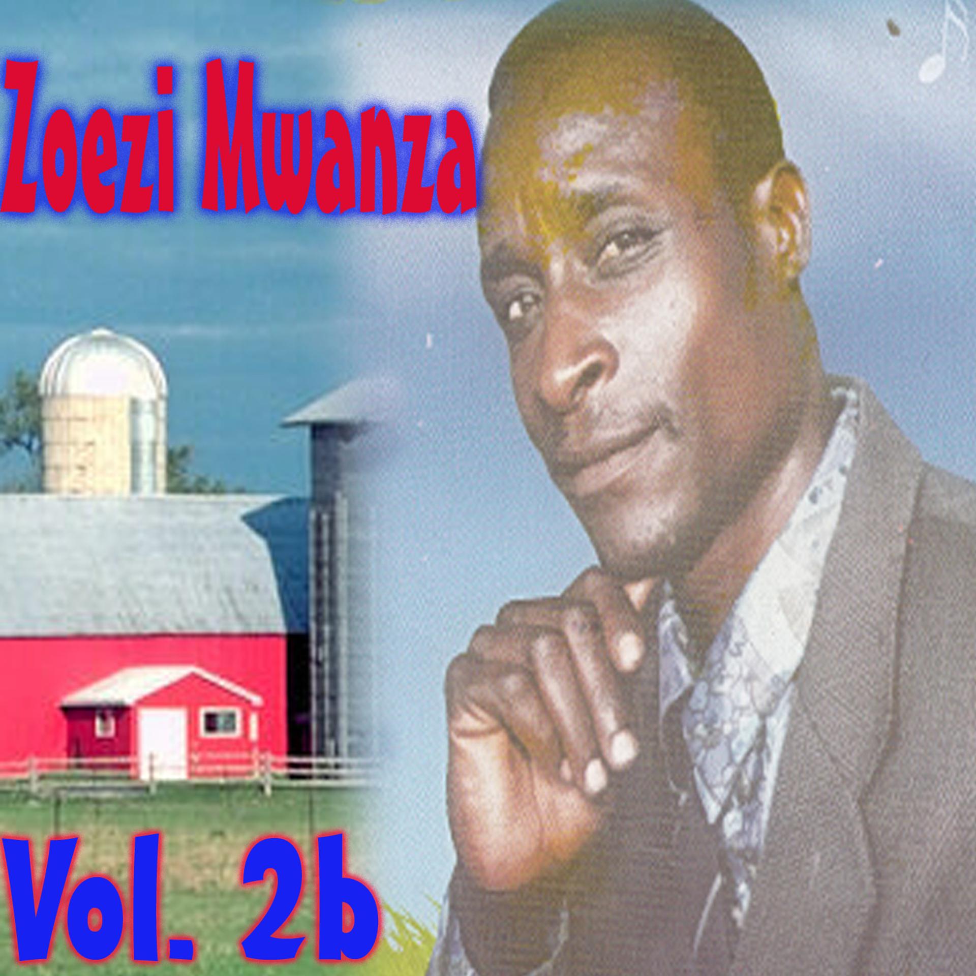 Постер альбома Zoezi Mwanza, Vol. 2b