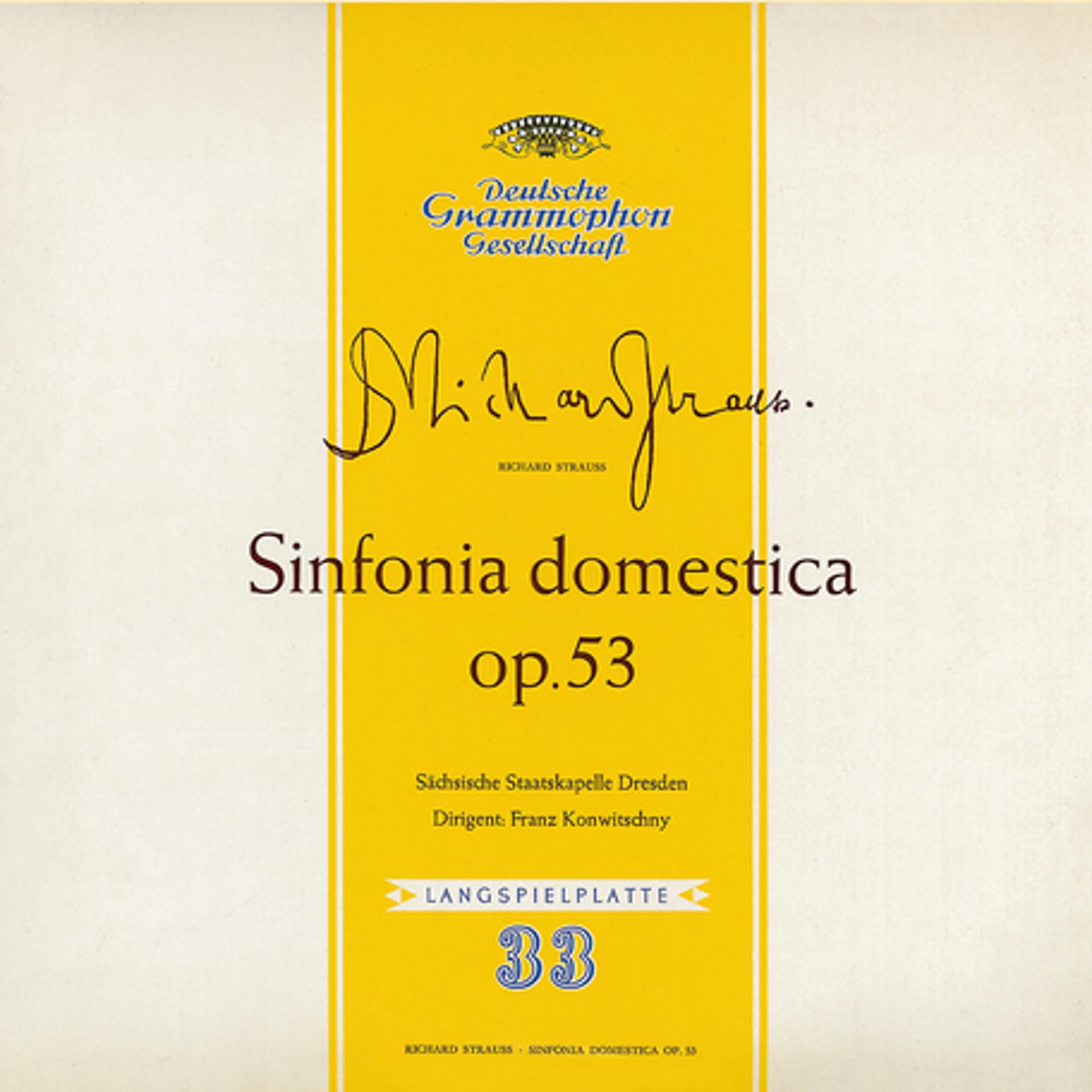 Постер альбома Strauss: Sinfonia domestica / Witt: Symphony in C