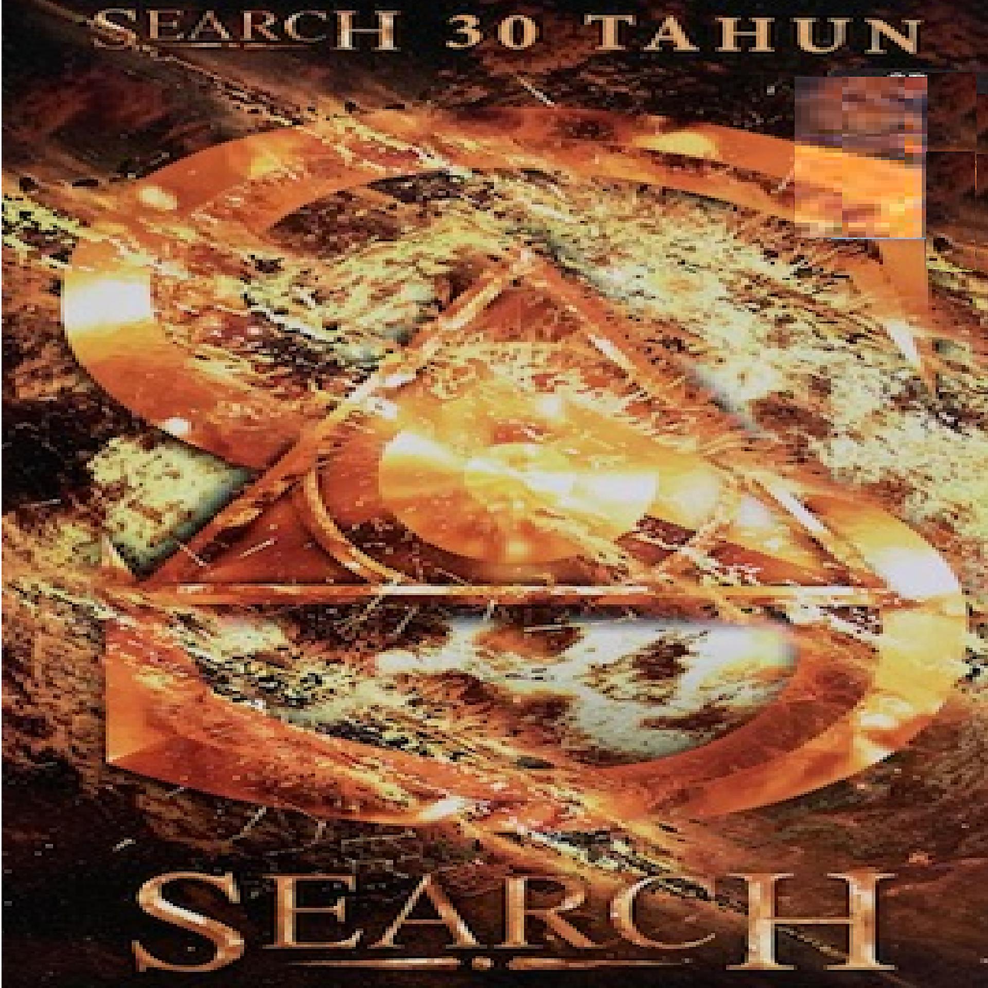 Постер альбома Search 30 Tahun