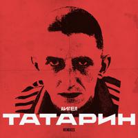 Постер альбома Татарин (Remixes)