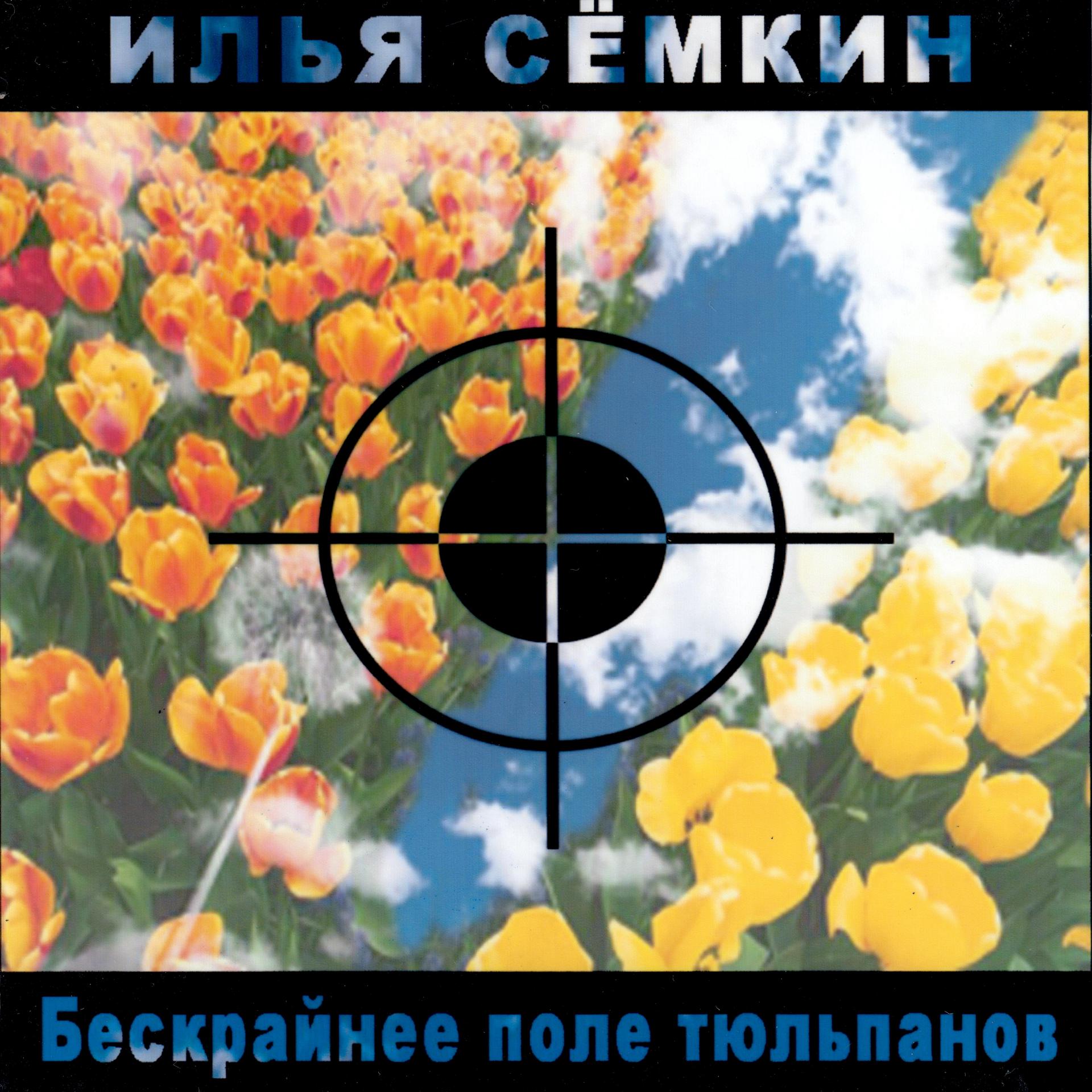 Постер альбома Бескрайнее поле тюльпанов