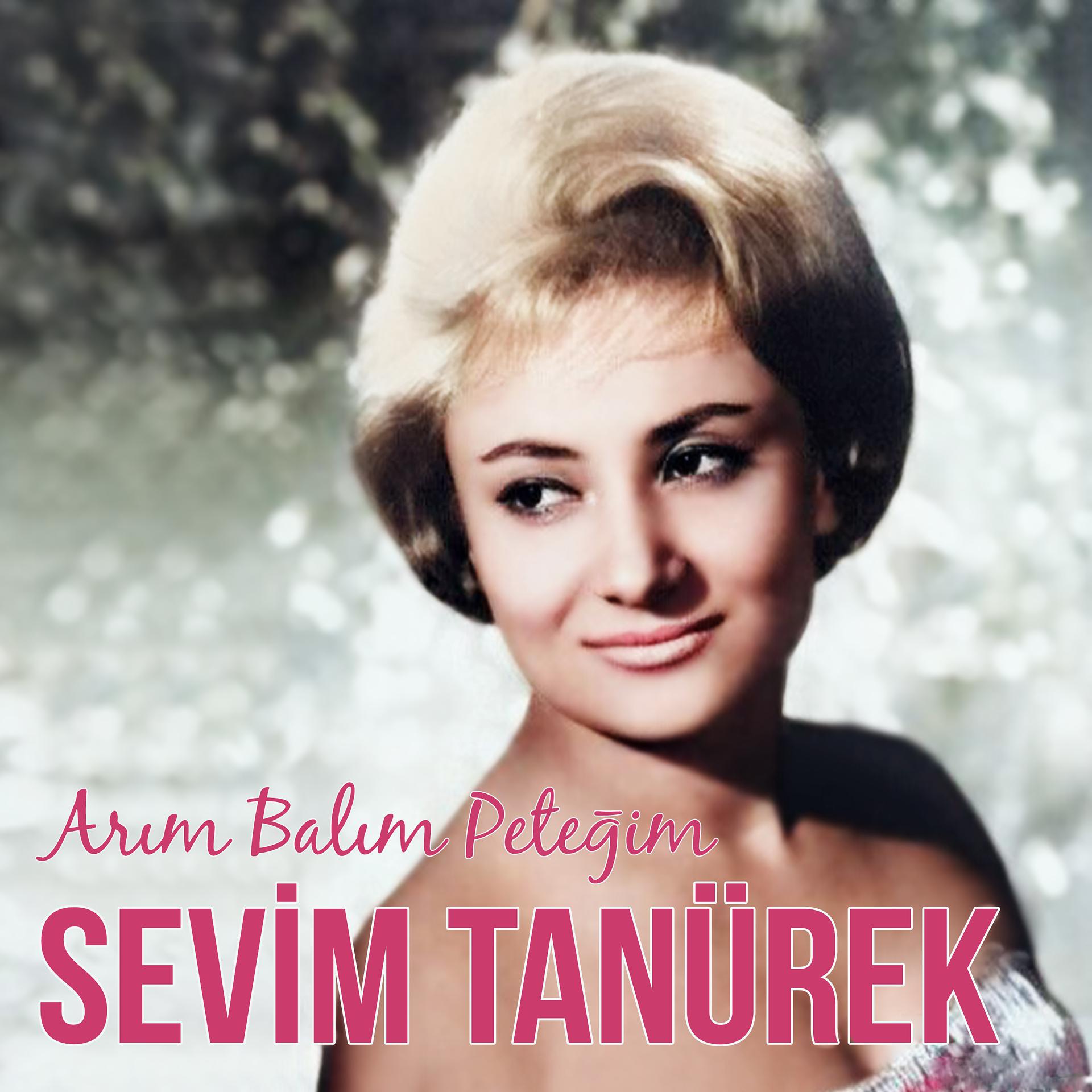 Постер альбома Arım Balım Peteğim