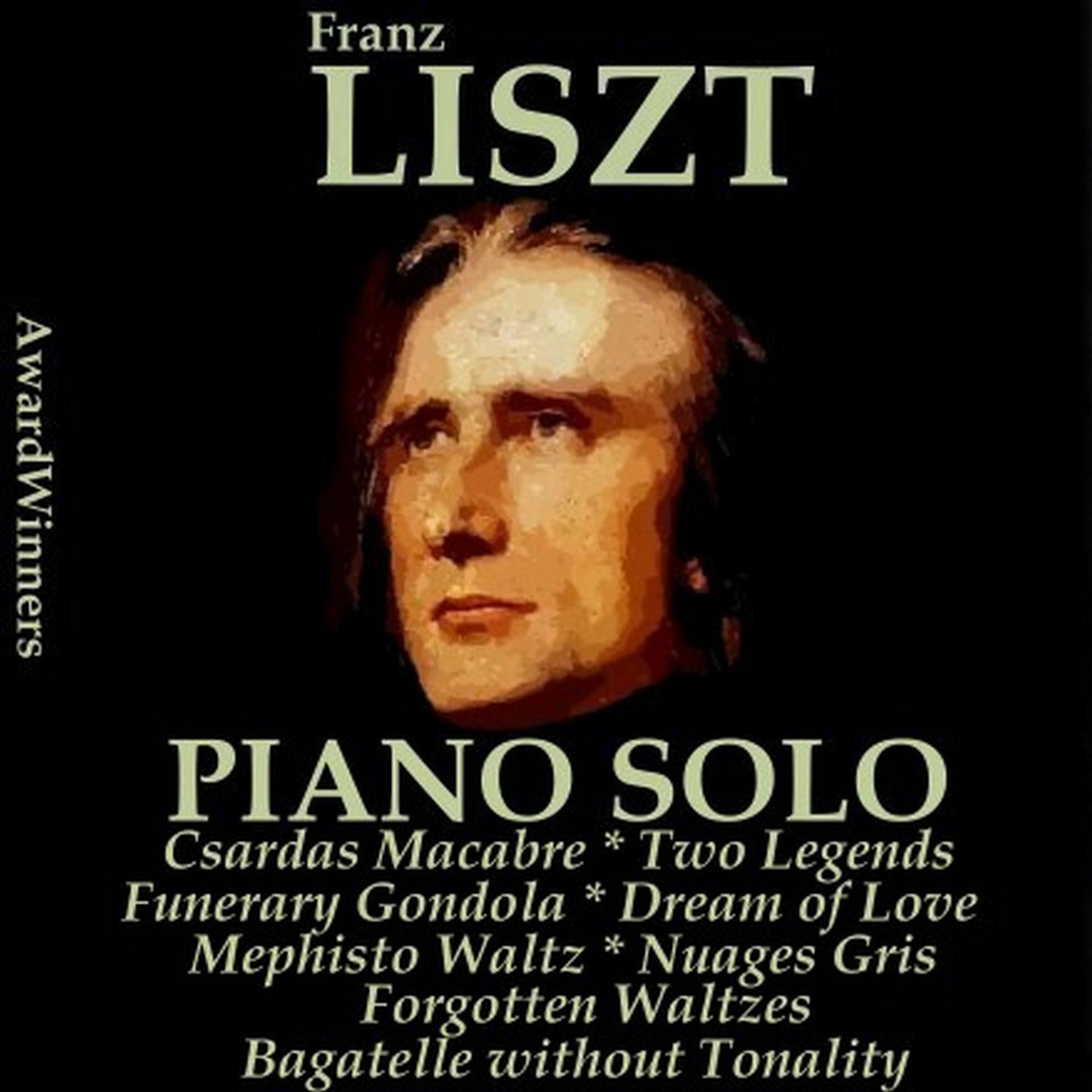 Постер альбома Liszt, Vol. 6 : Piano Solo