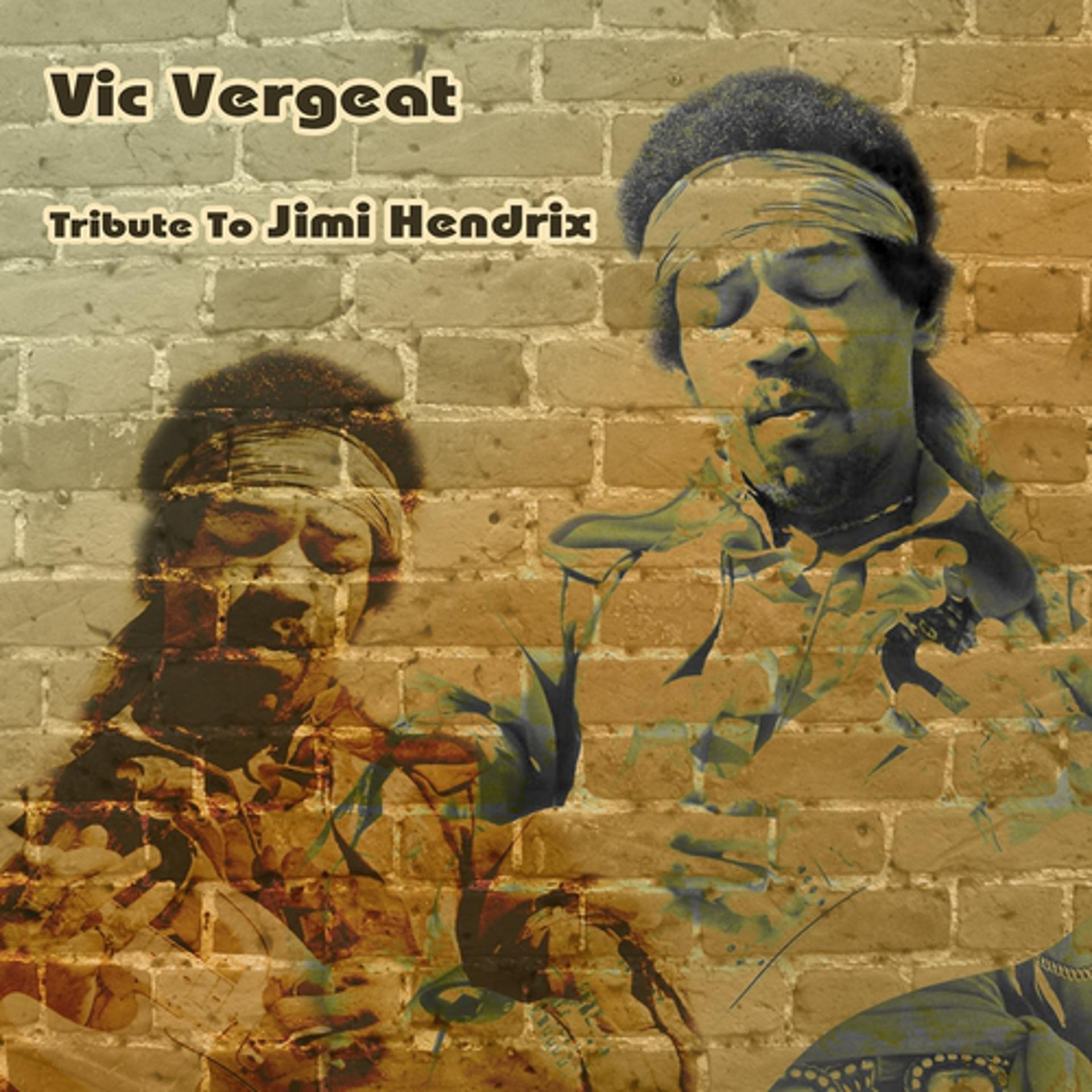 Постер альбома Vic Vergeat : A Live Tribute to Jimi Hendrix