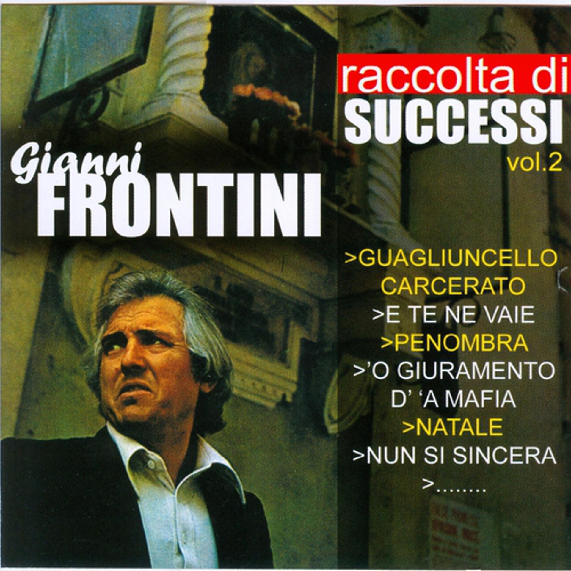 Постер альбома Raccolta Di Successi Vol.2