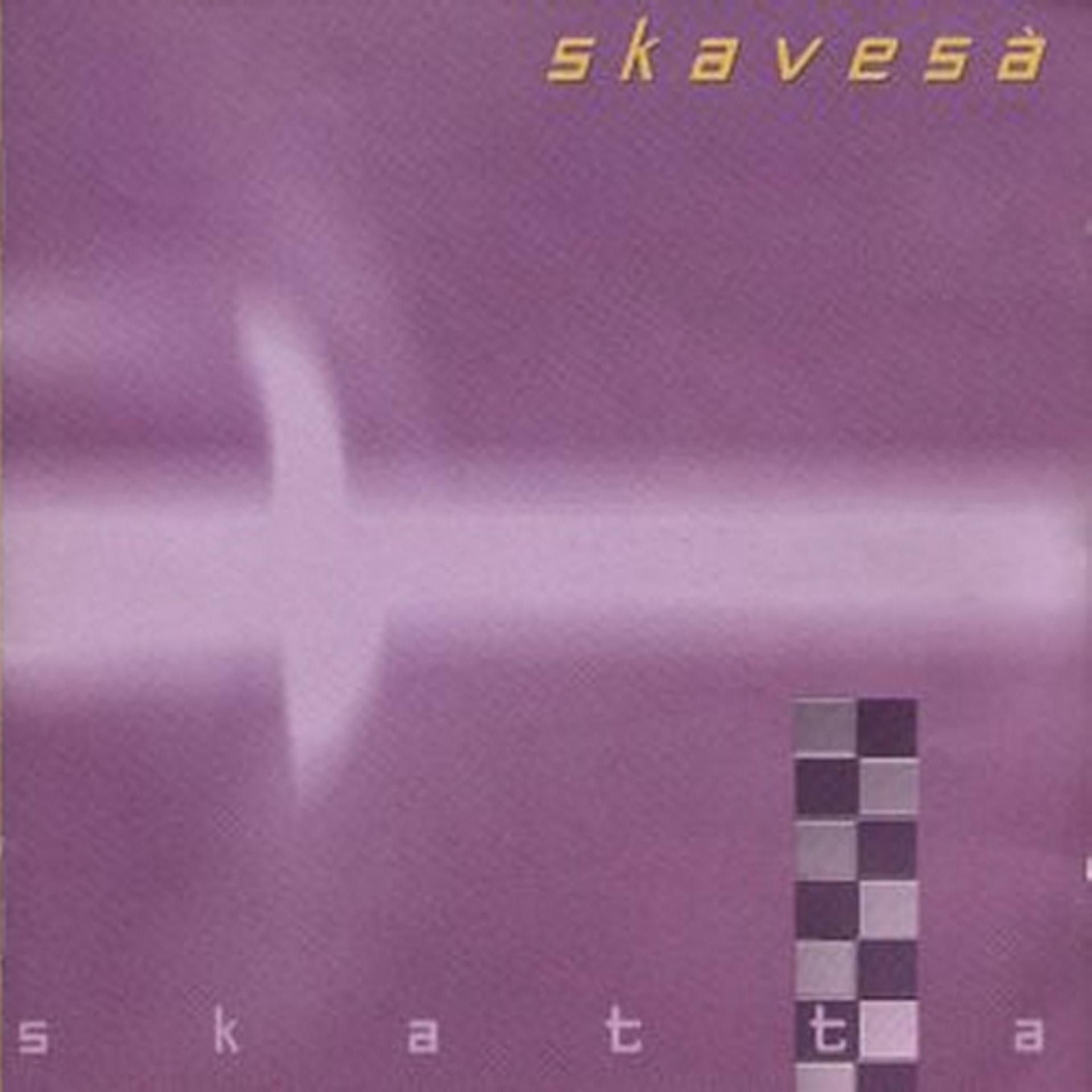 Постер альбома Skatta