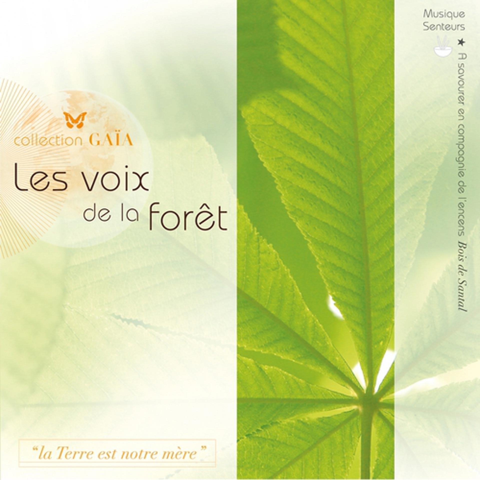 Постер альбома Gaïa: Les voix de la forêt