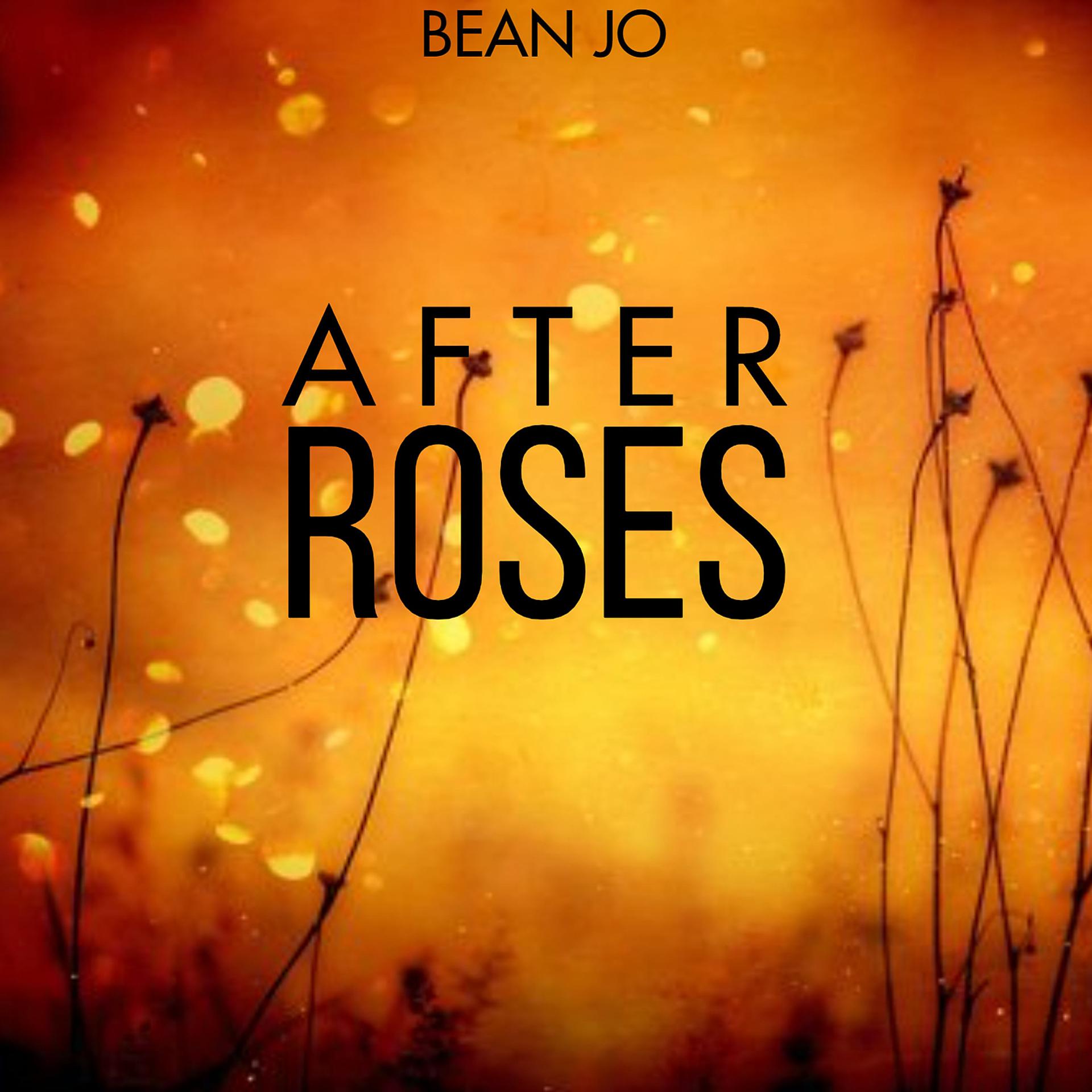 Постер альбома After Roses