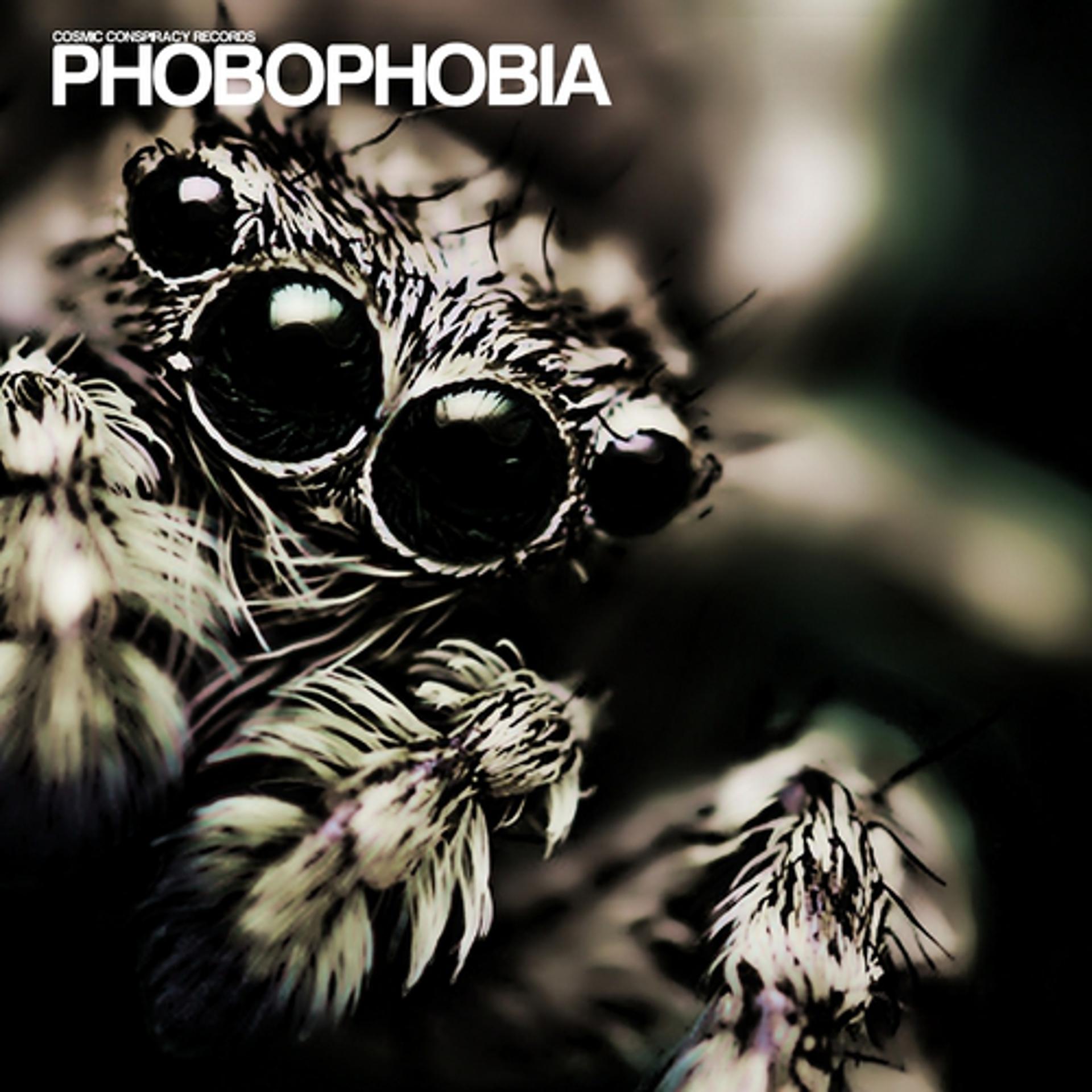 Постер альбома Phobophobia