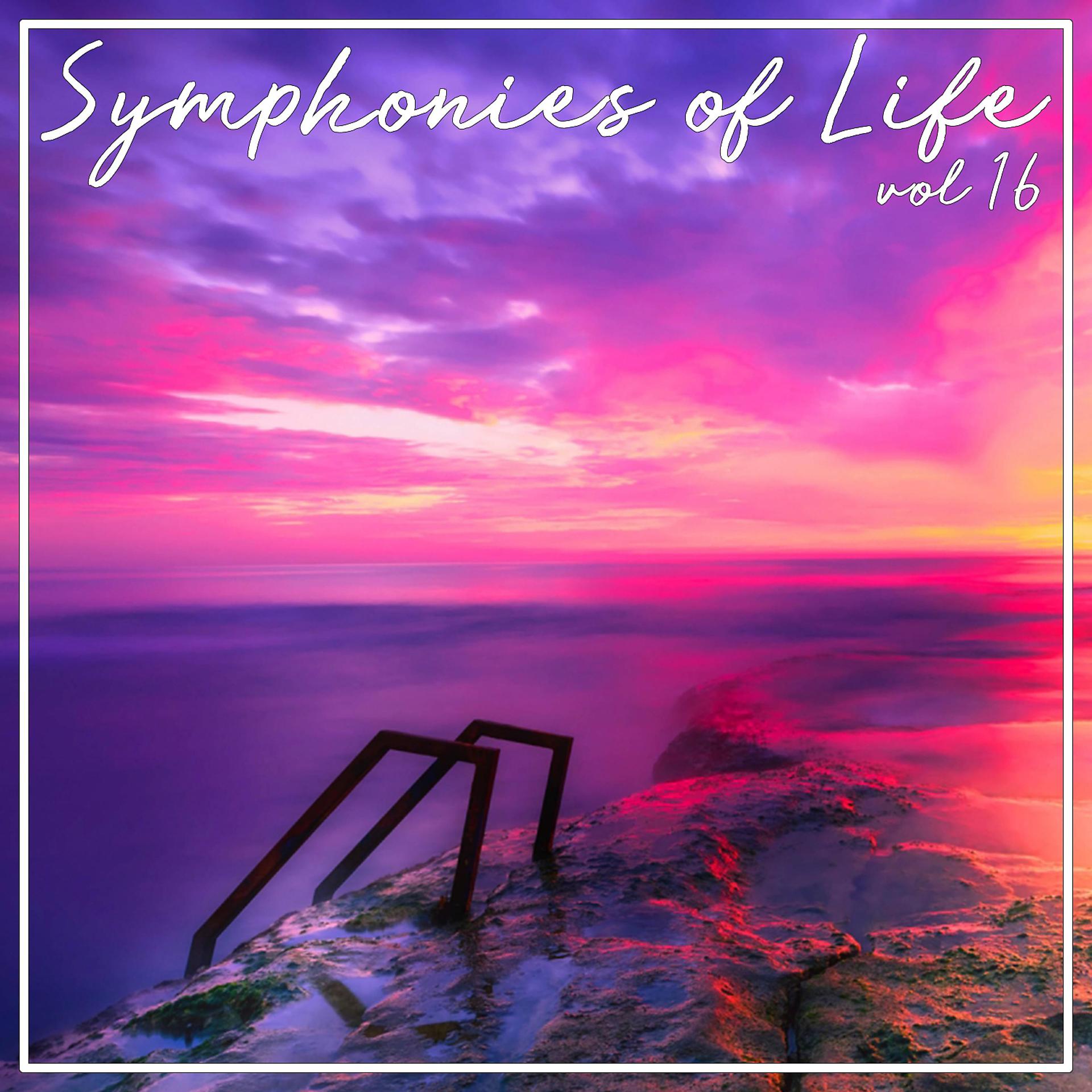 Постер альбома Symphonies of Life, Vol. 16 - Friedrich, Academy of St. Martin-in-the-Fields - Hummel, Mozart, L, Haydn, J, Haydn, M; Klassische Trompetenkonzerte