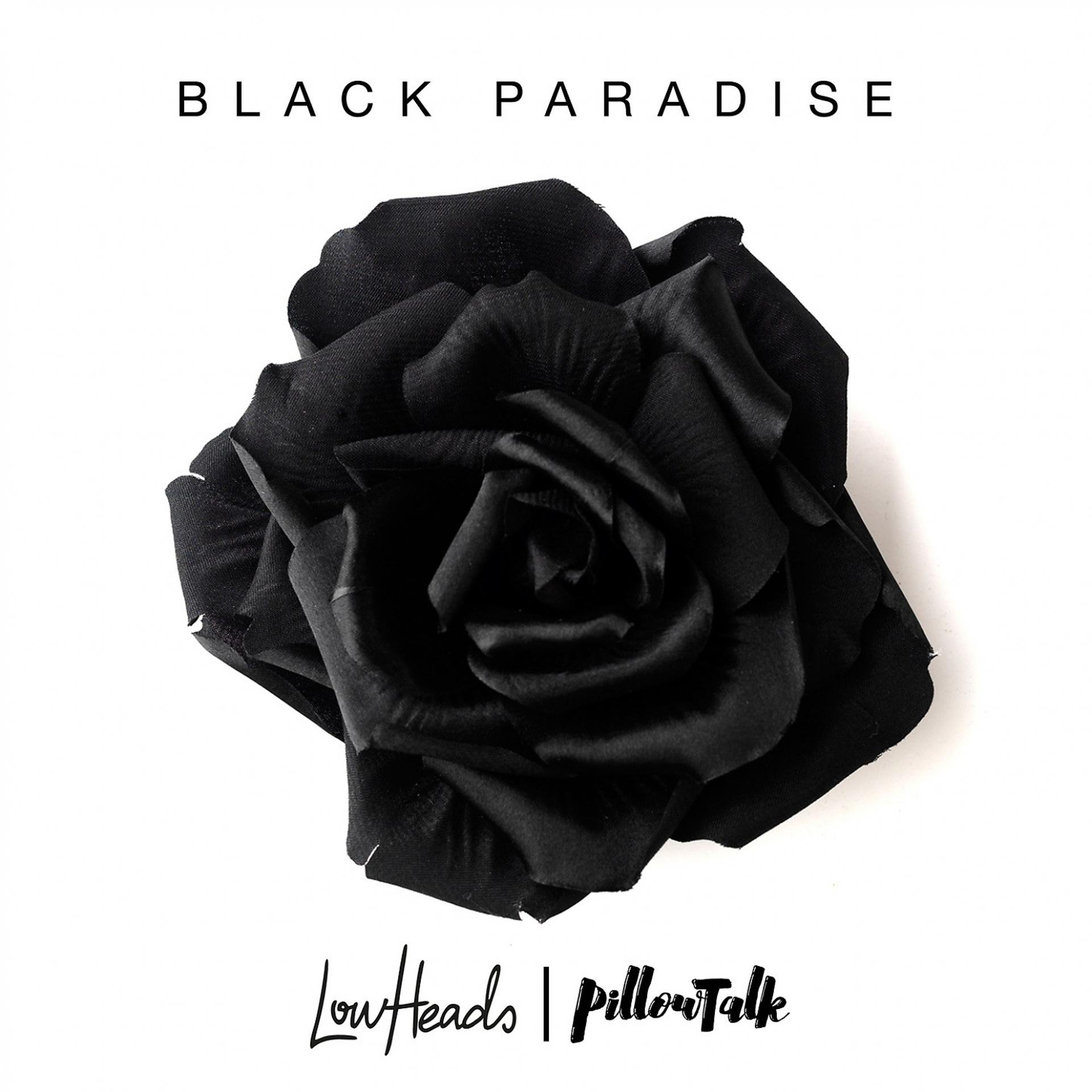 Постер альбома Black Paradise