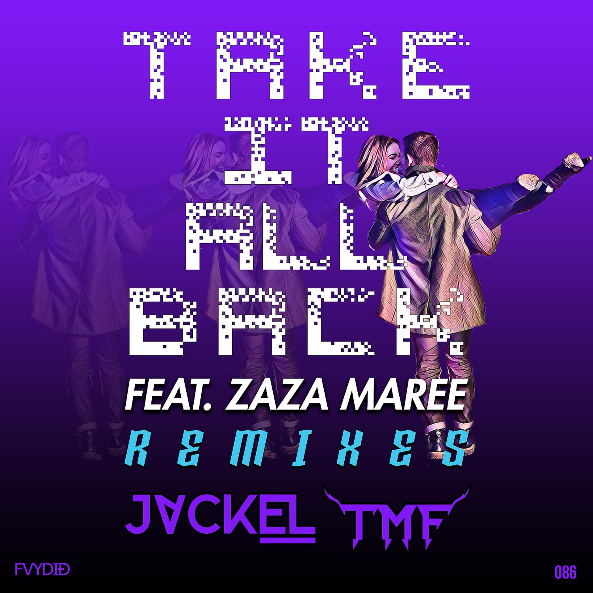 Постер альбома Take It All Back (feat. ZaZa Maree) [Remixes]