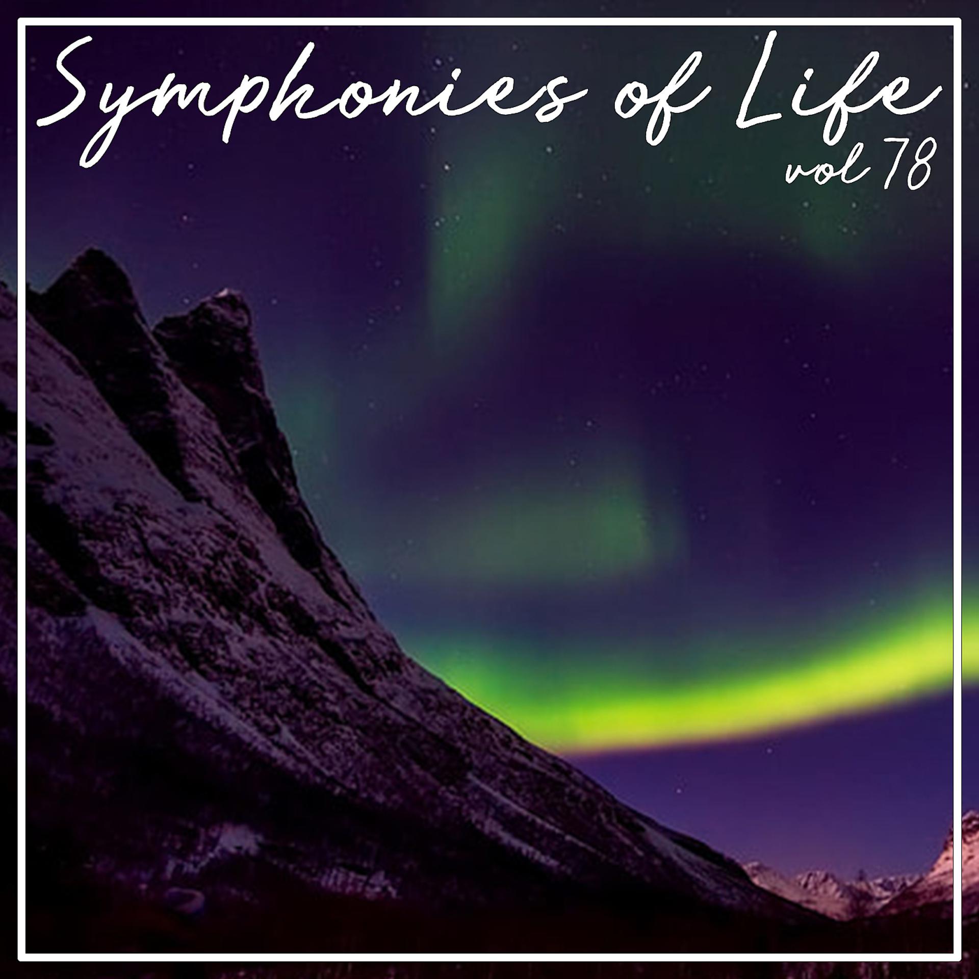 Постер альбома Symphonies of Life, Vol. 78 - Bach: Musik Der Bach Familie