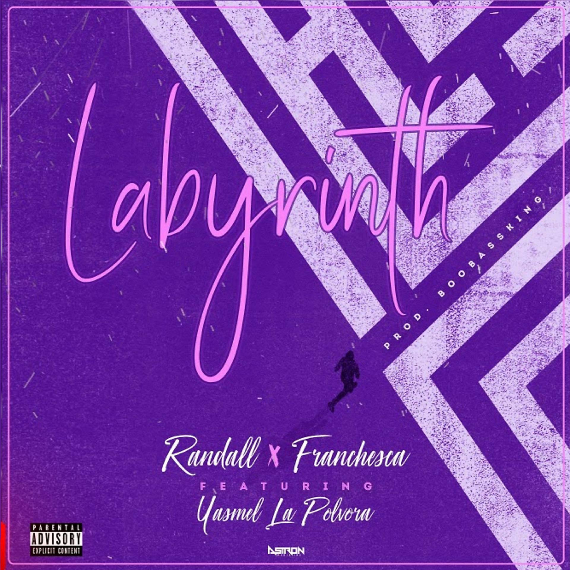 Постер альбома Labyrinth (feat. Yasmel & Boobass King)