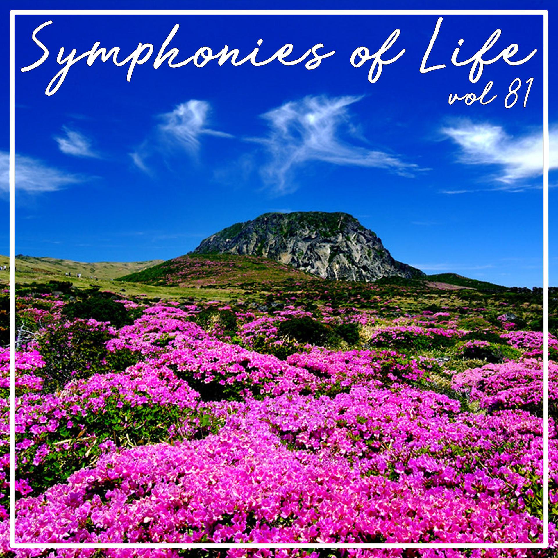 Постер альбома Symphonies of Life, Vol. 81 - Ave Maria