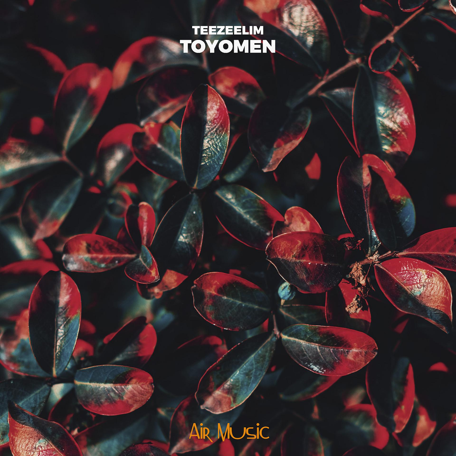 Постер альбома Toyomen