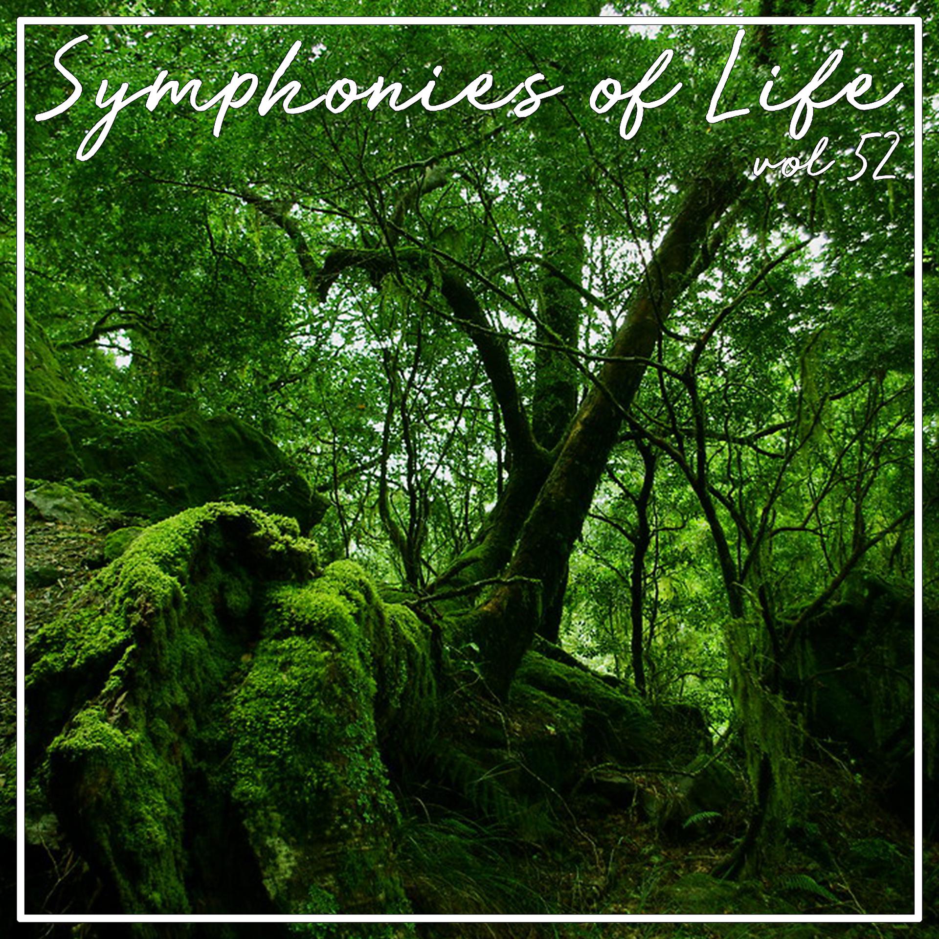 Постер альбома Symphonies of Life, Vol. 52 - Beethoven: Missa Solemnis