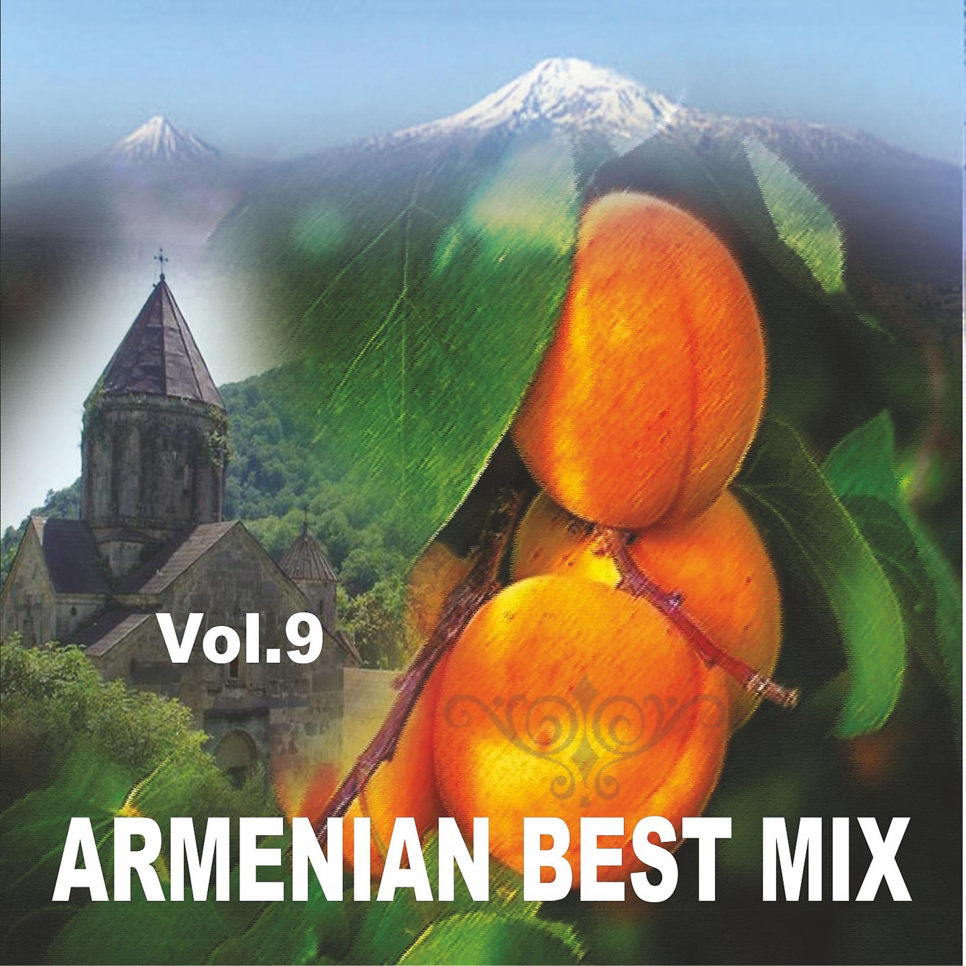 Постер альбома Armenian Best Mix, Vol. 9