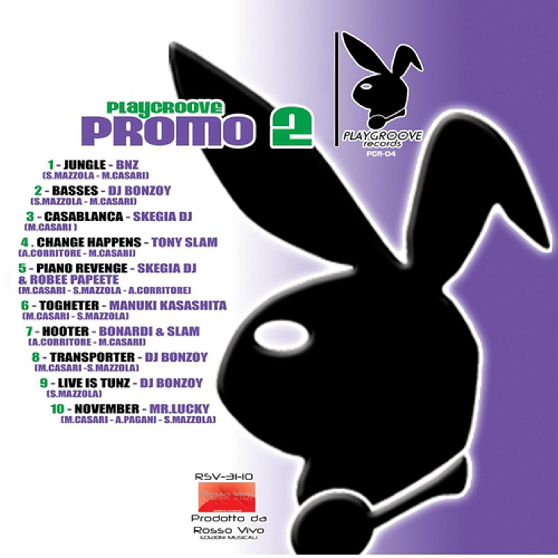 Постер альбома Playgroove Promo 2