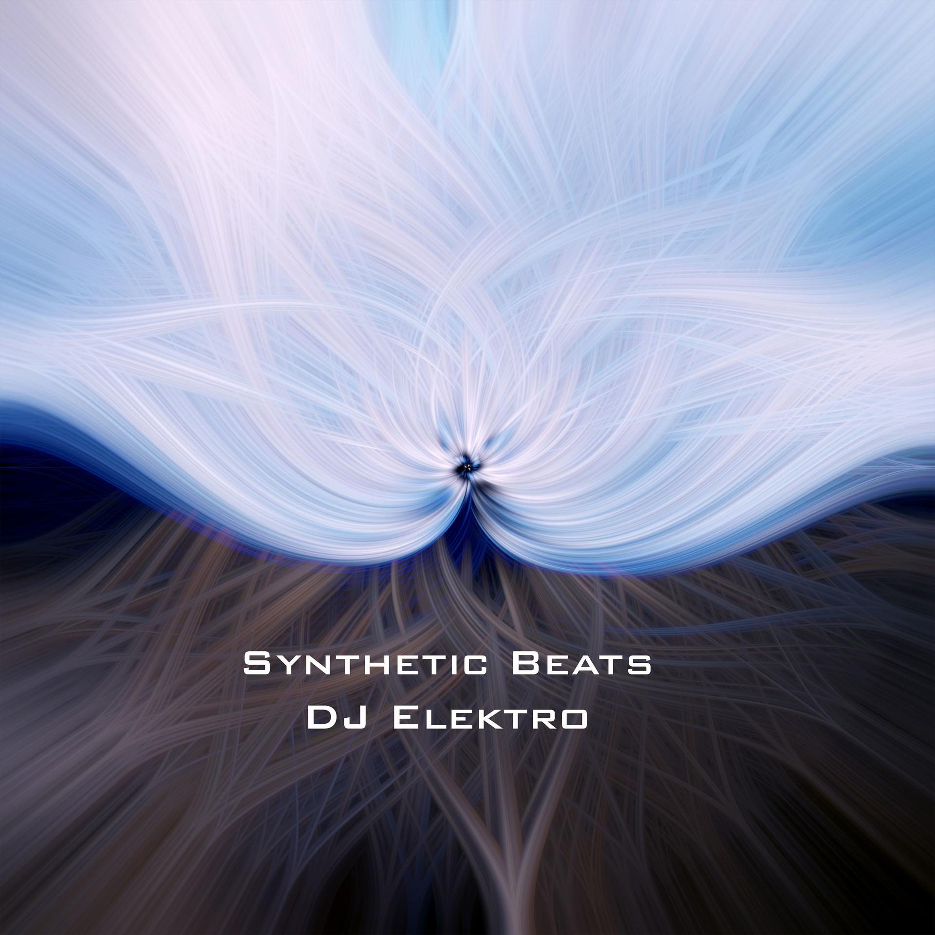 Постер альбома Synthetic Beats