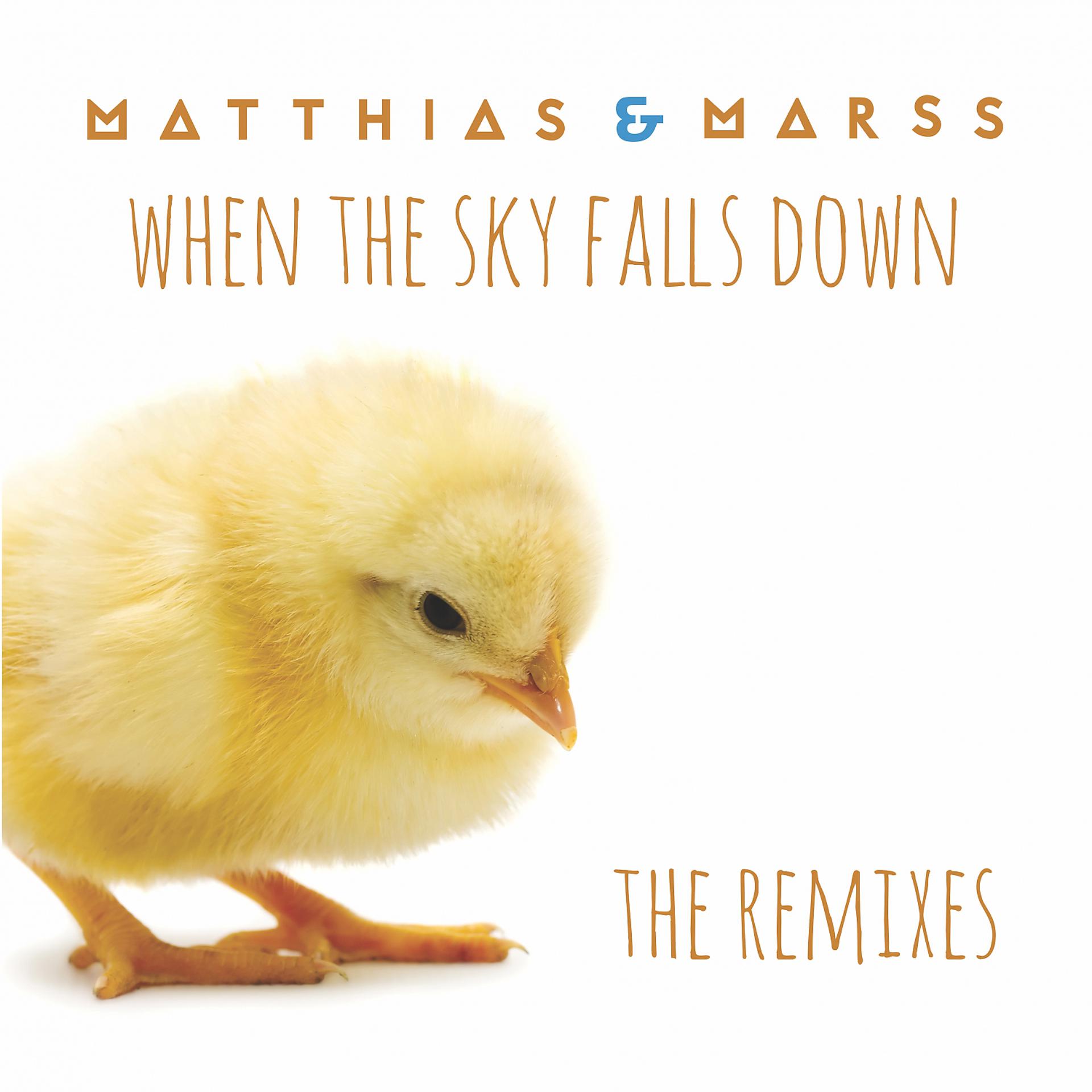 Постер альбома When The Sky Falls Down (The Remixes)