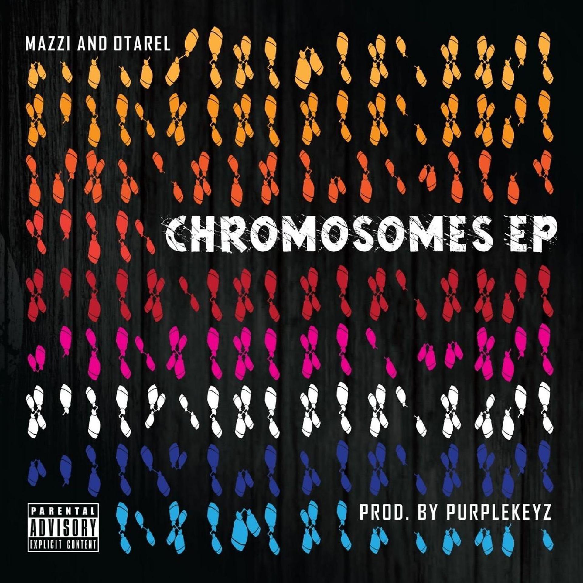 Постер альбома Chromosomes - EP