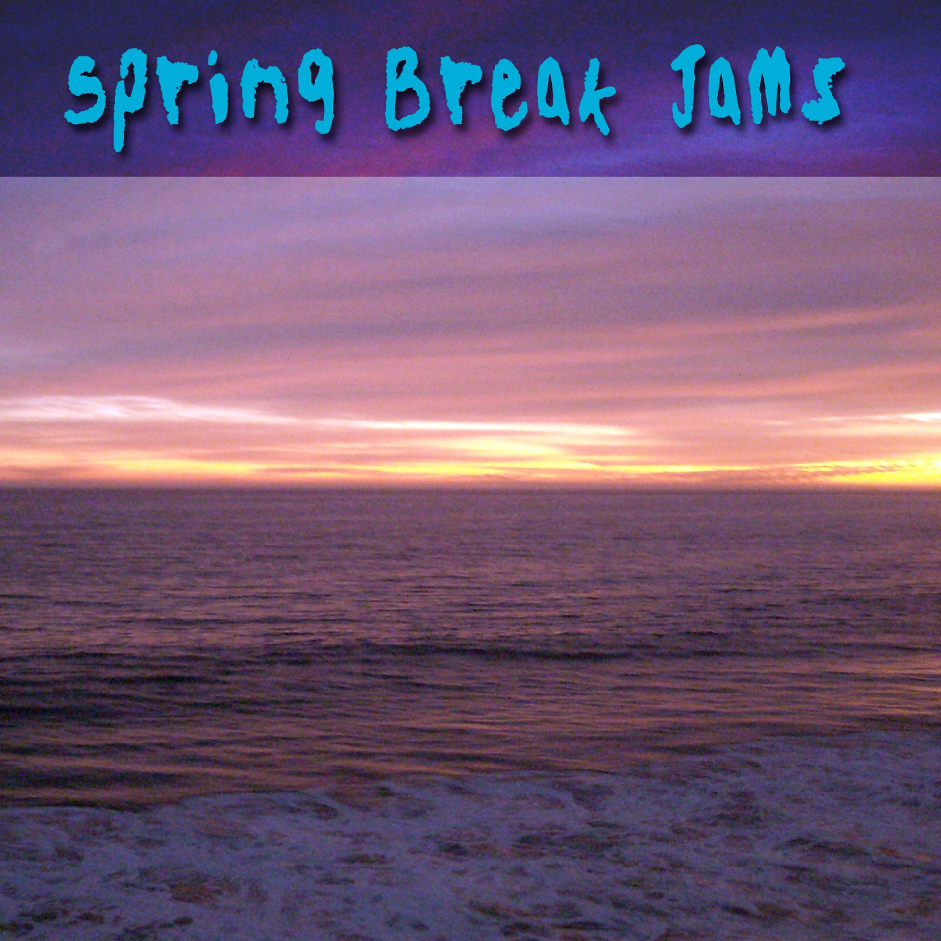 Постер альбома Spring Break Jams
