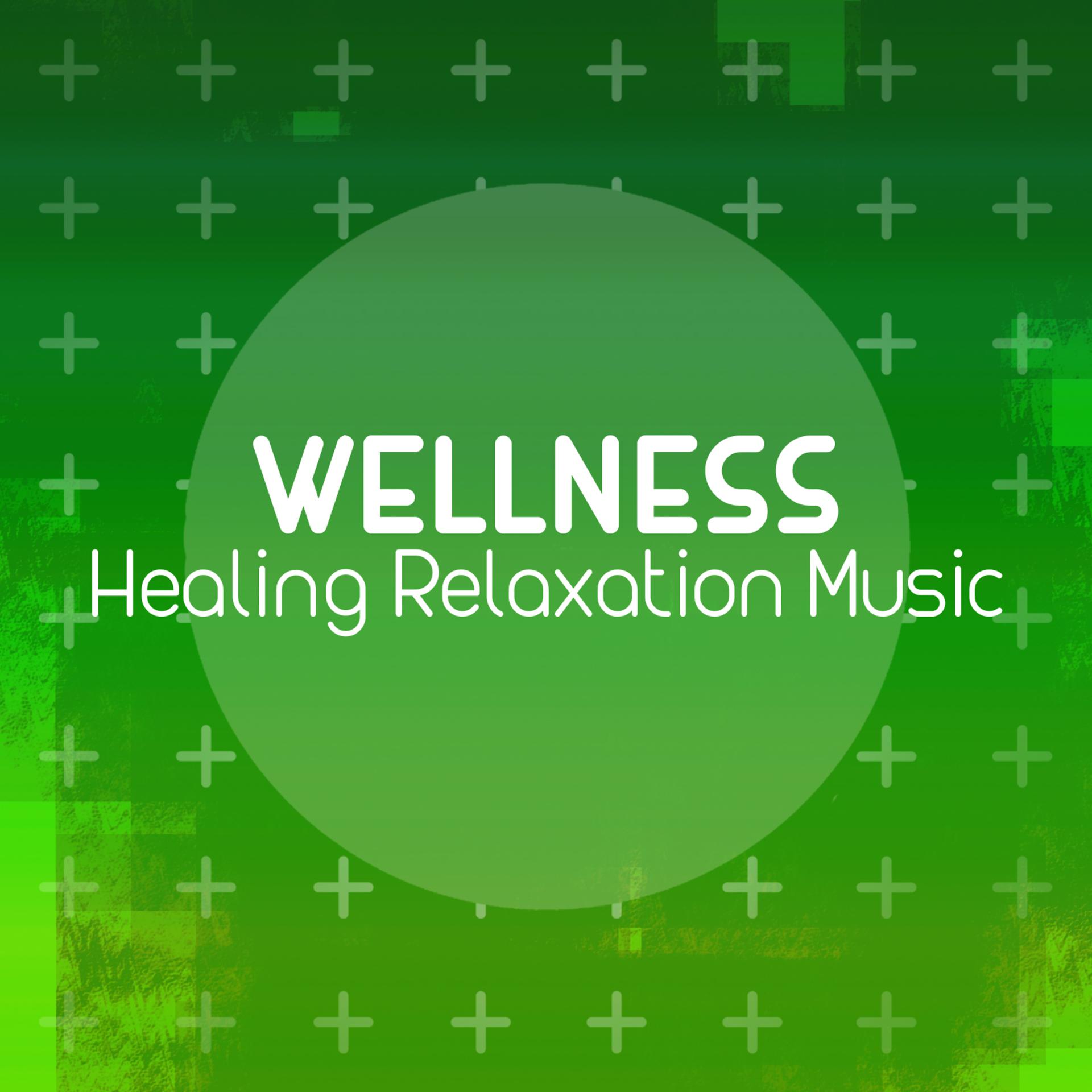 Постер альбома Wellness: Healing Relaxation Music