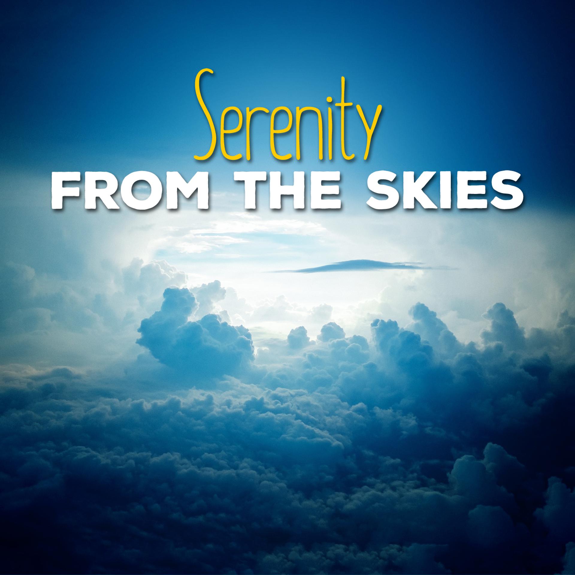 Постер альбома Serenity from the Skies
