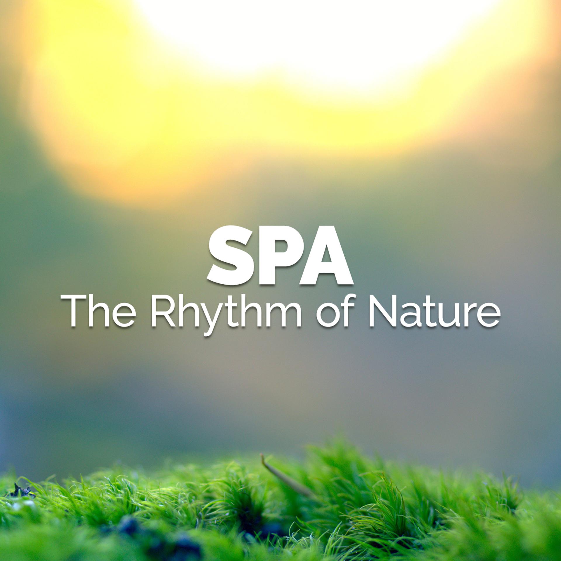 Постер альбома Spa: The Rhythm of Nature
