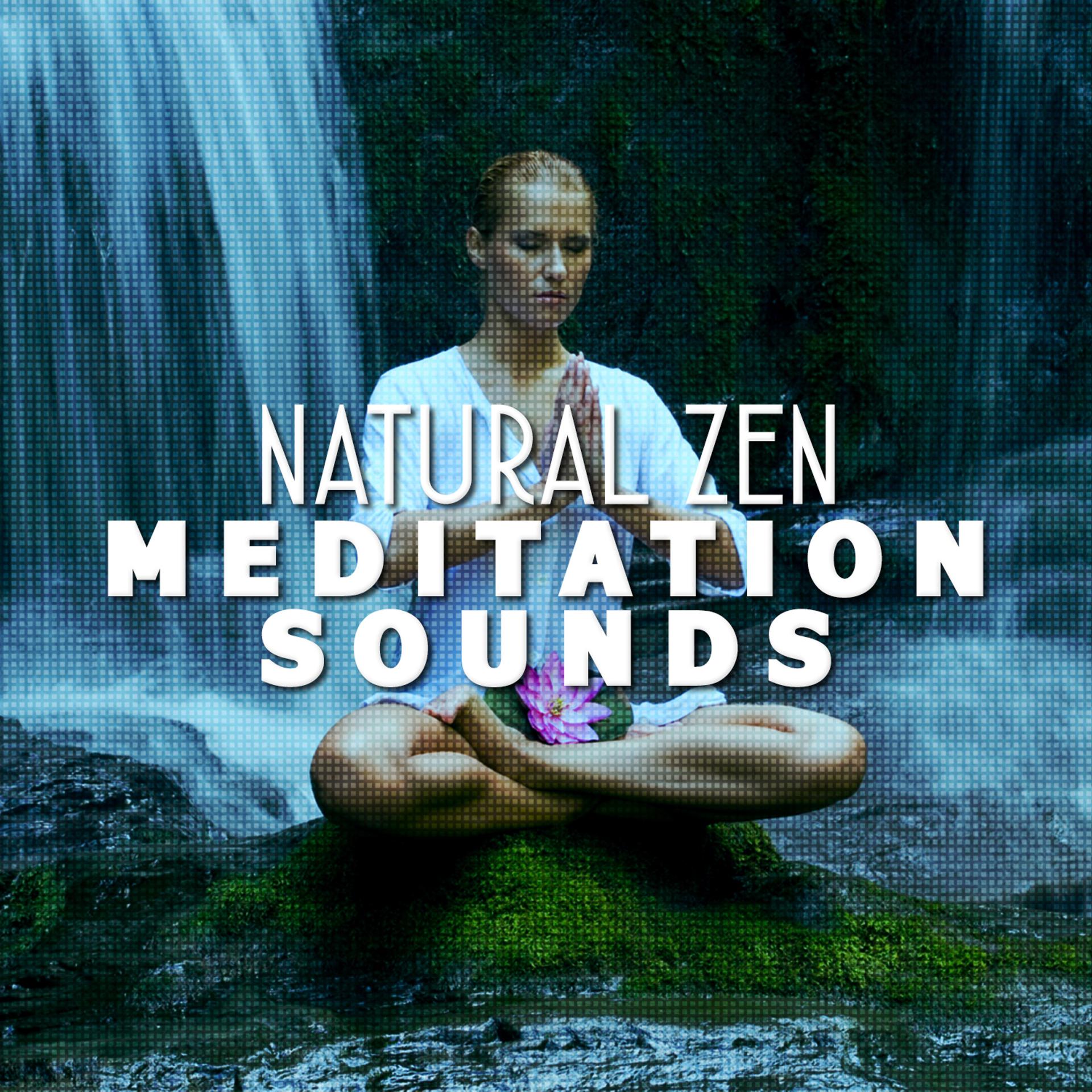 Постер альбома Natural Zen Meditation Sounds