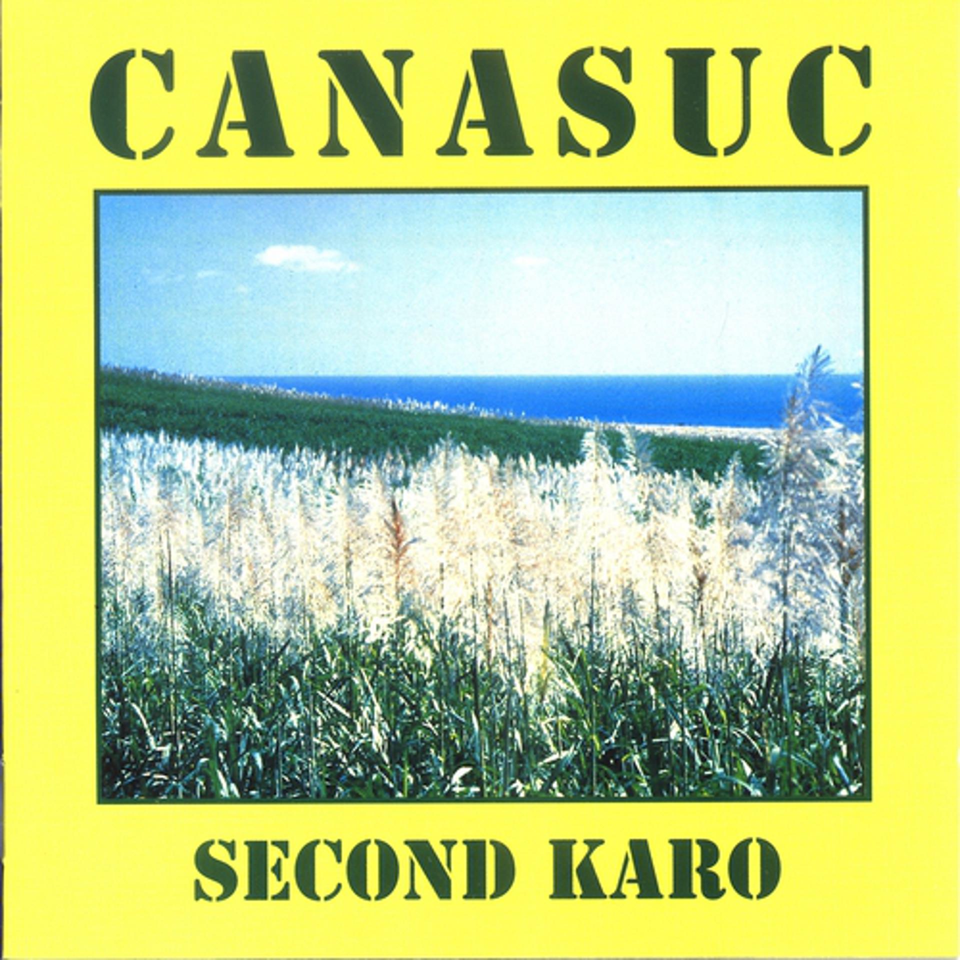 Постер альбома Second Karo