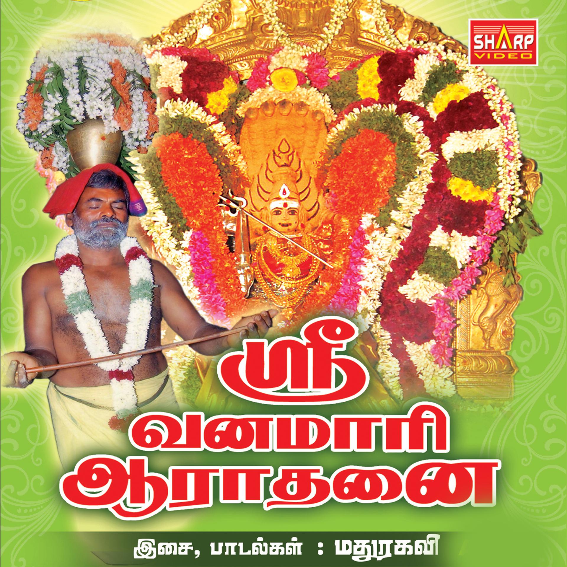 Постер альбома Sri Vanamari Aarathanai