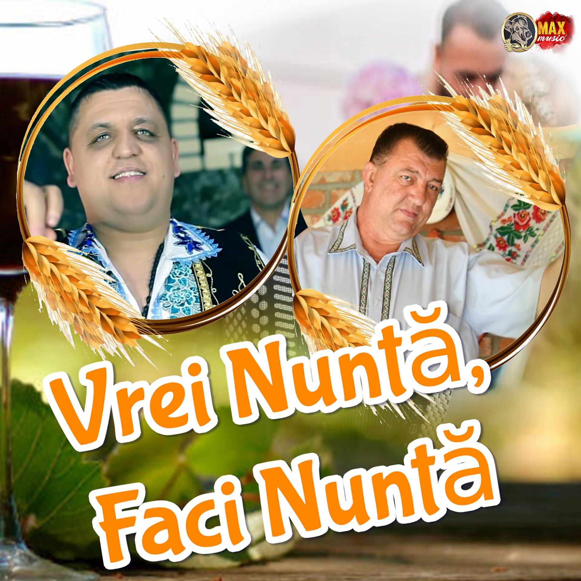 Постер альбома Vrei Nuntă, Faci Nuntă, Vol. 3