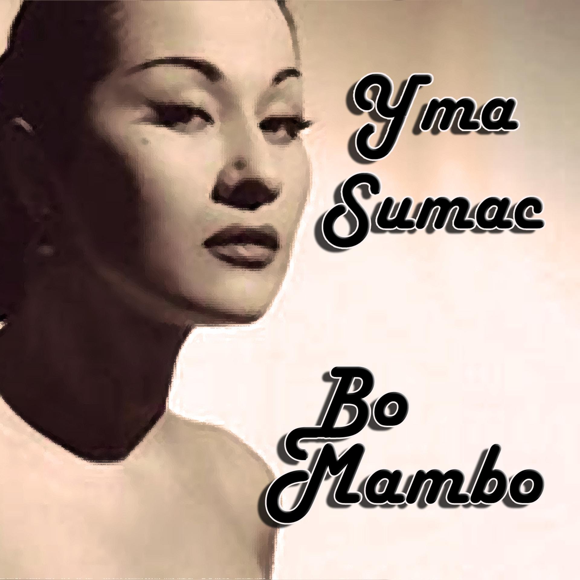 Постер альбома Bo Mambo
