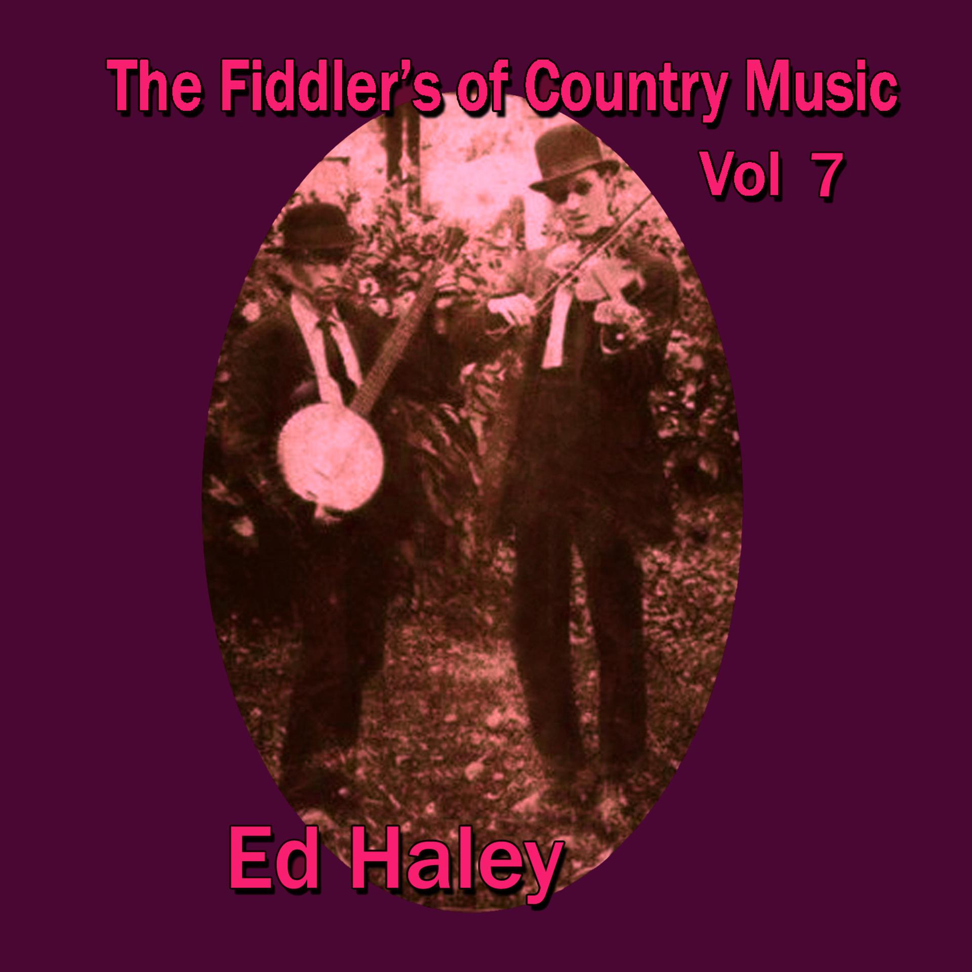 Постер альбома The Fiddler's of Country Music, Vol. 7