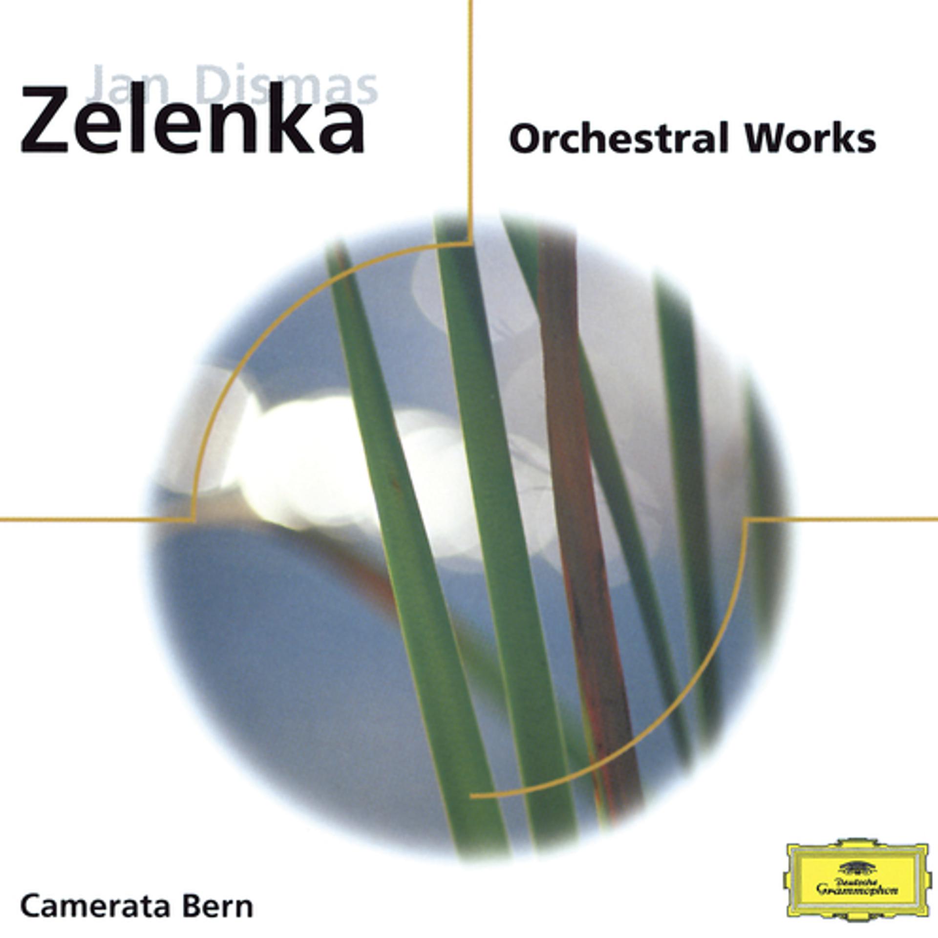 Постер альбома Zelenka: Orchestral Works