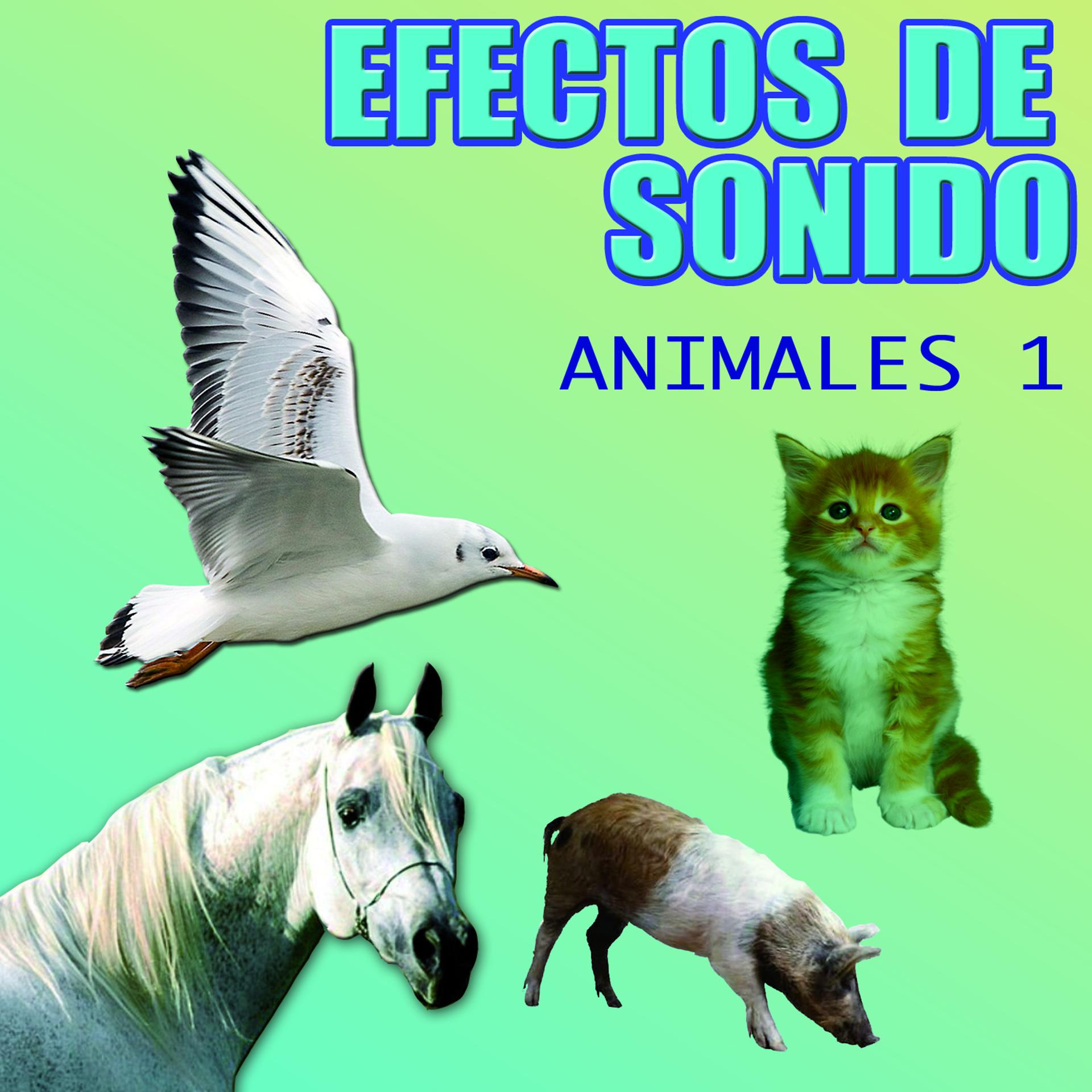 Постер альбома Efectos De Sonido Animales Vol.1