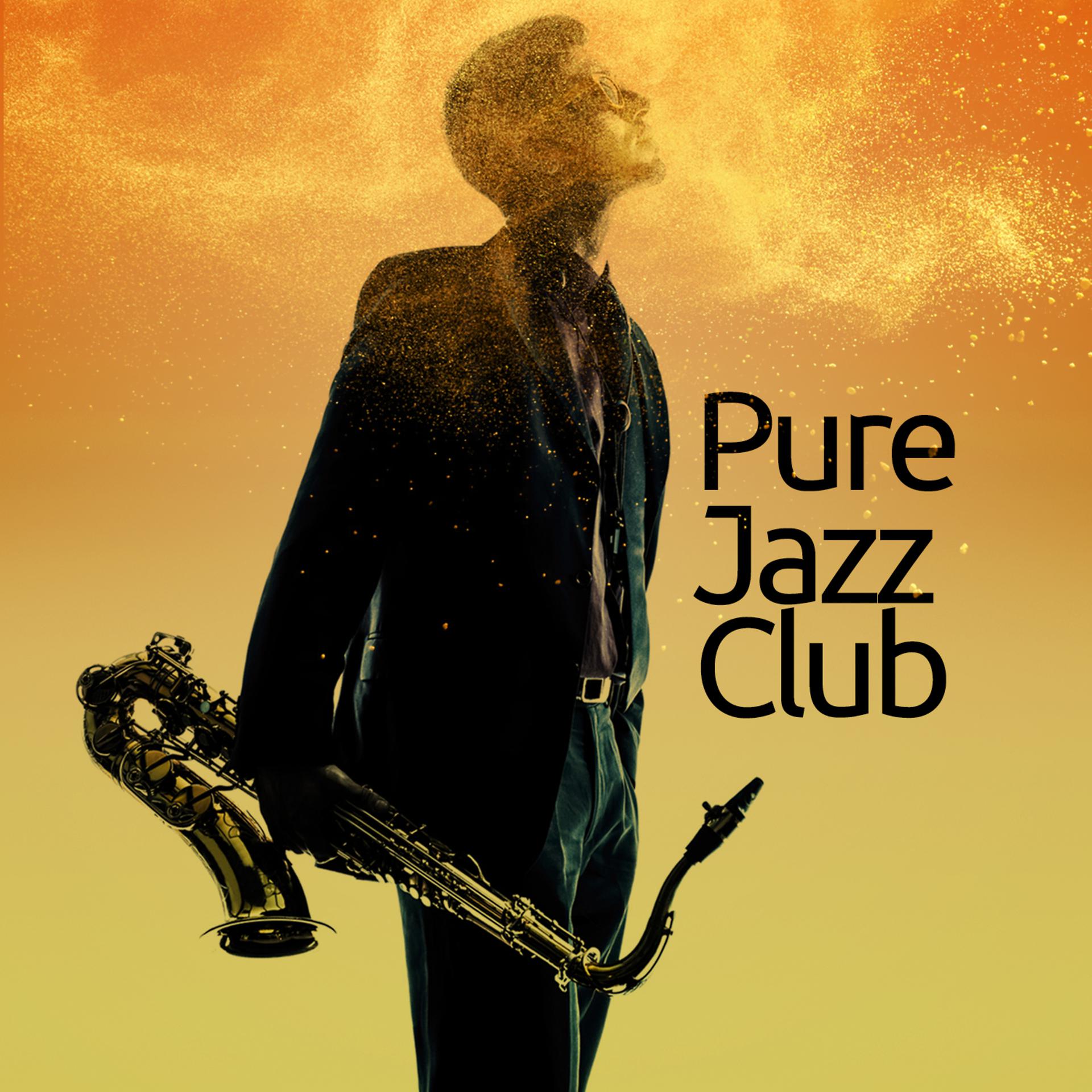 Постер альбома Pure Jazz Club