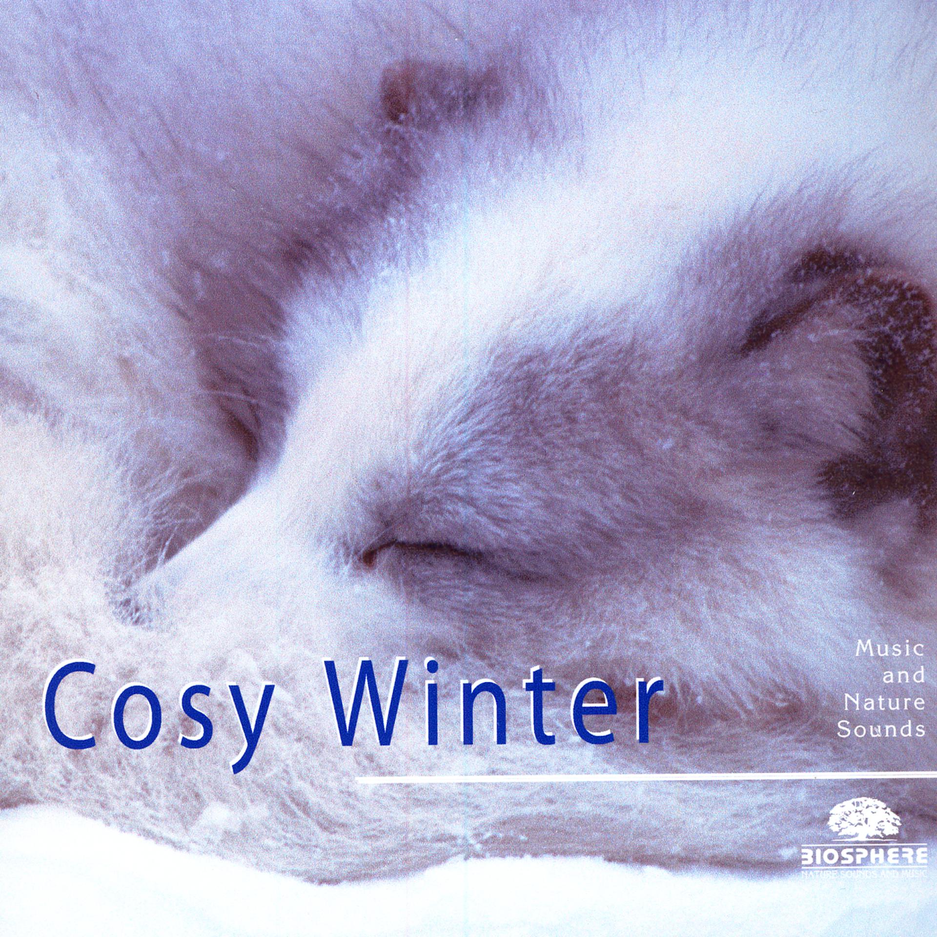 Постер альбома Cosy Winter