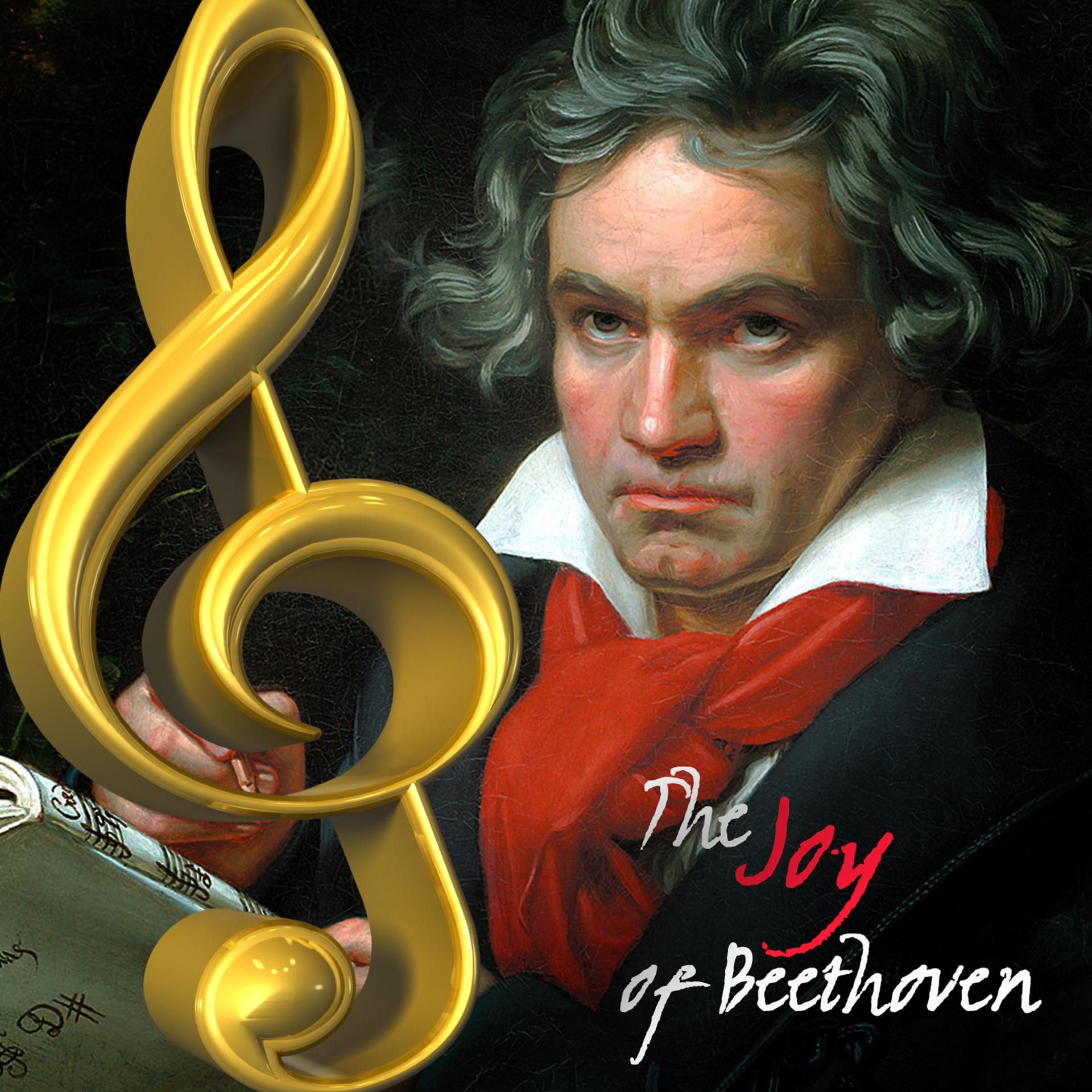 Постер альбома The Joy of Beethoven