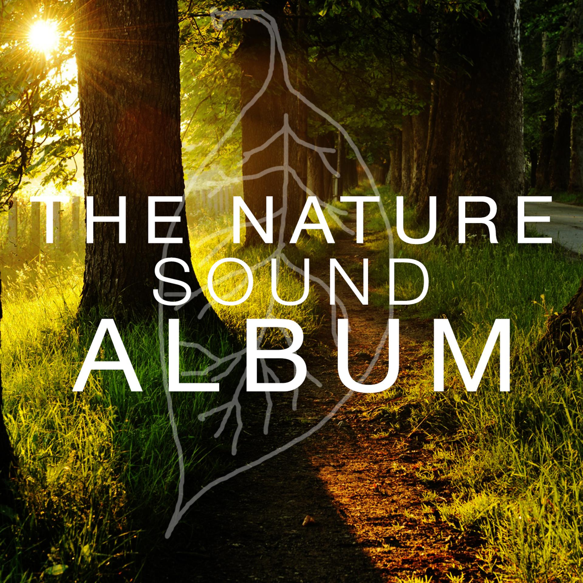 Постер альбома The Nature Sound Album