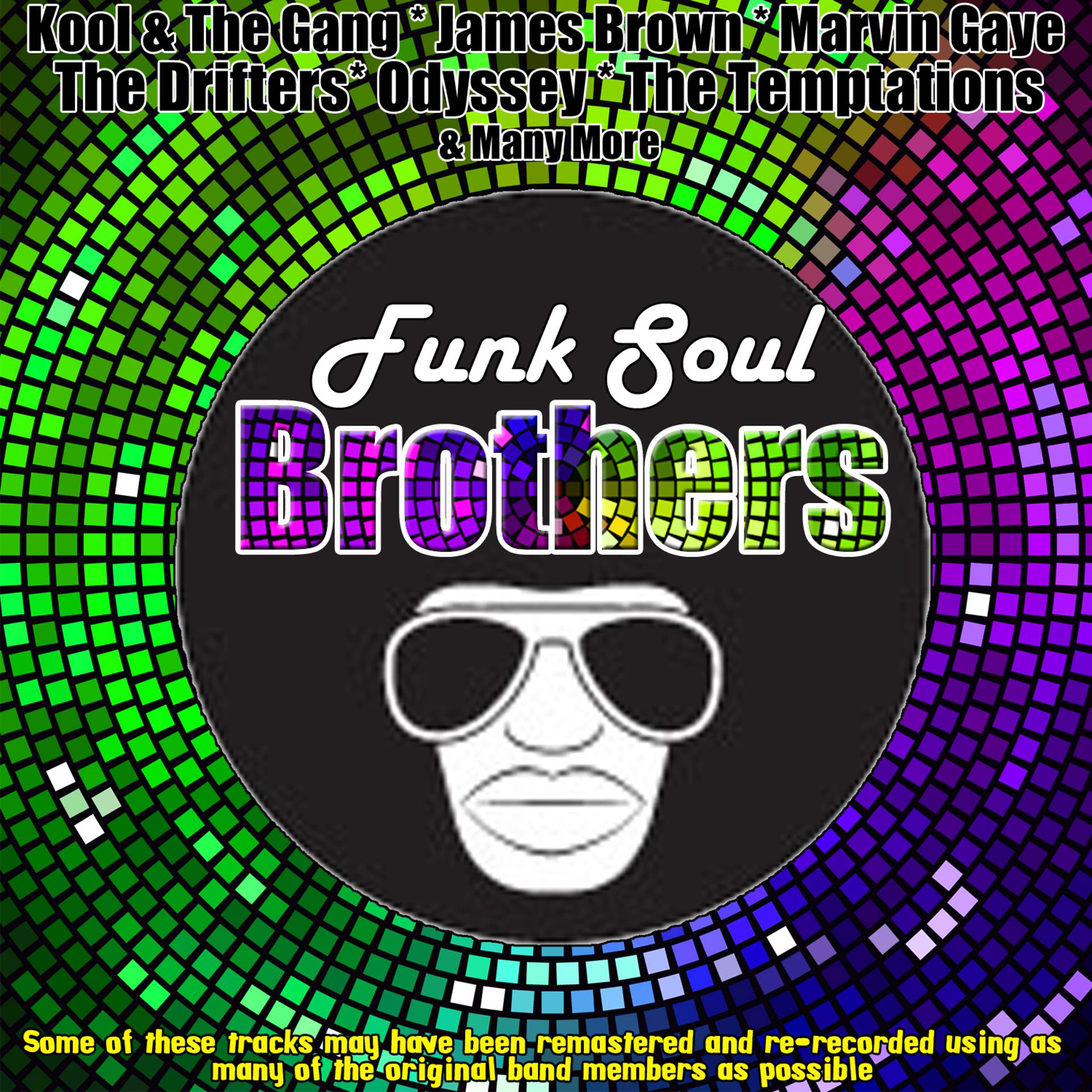 Постер альбома Funk Soul Brothers